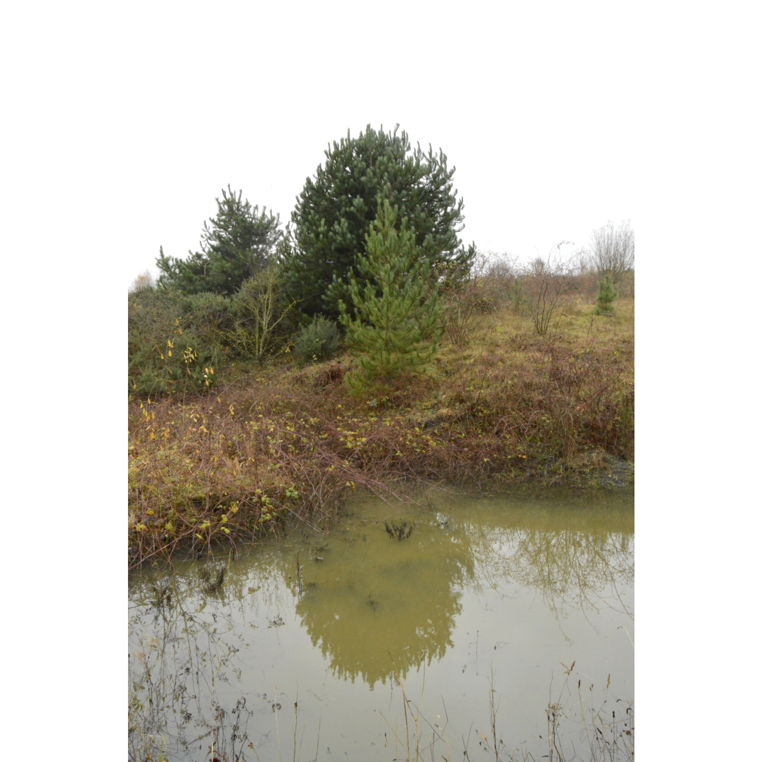 IMG_3400.png