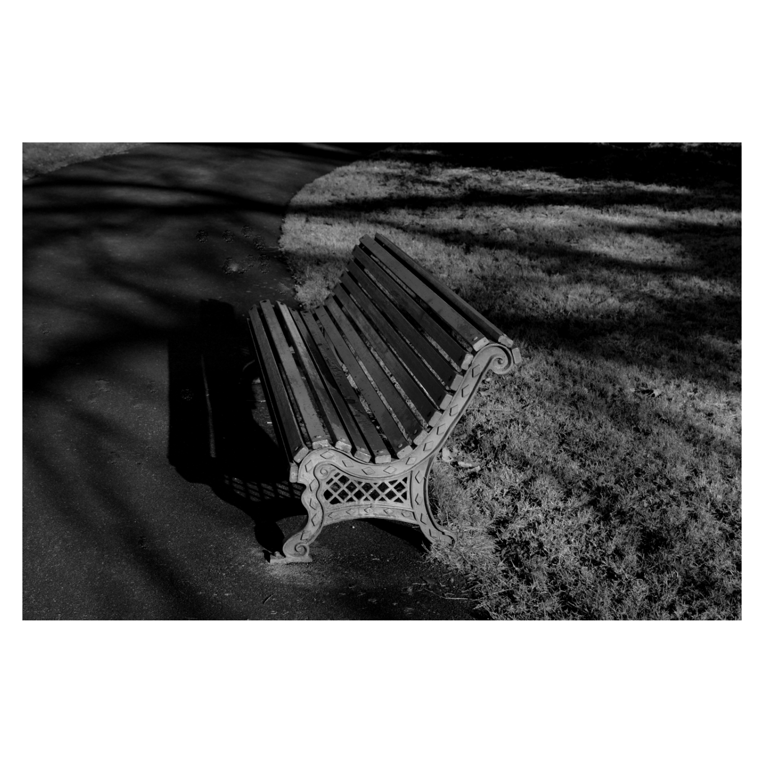 IMG_3746.png