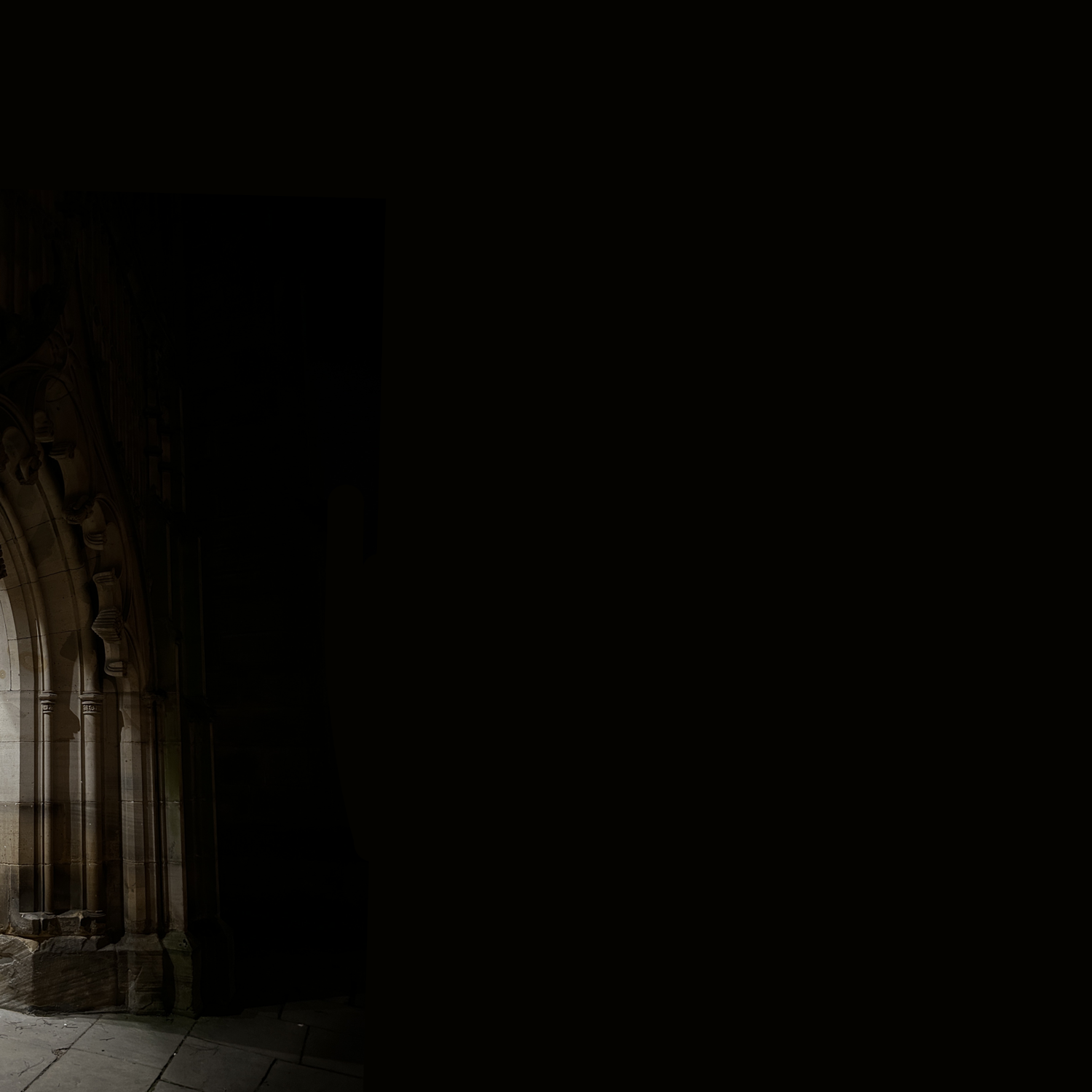 Untitled_Artwork 19.png