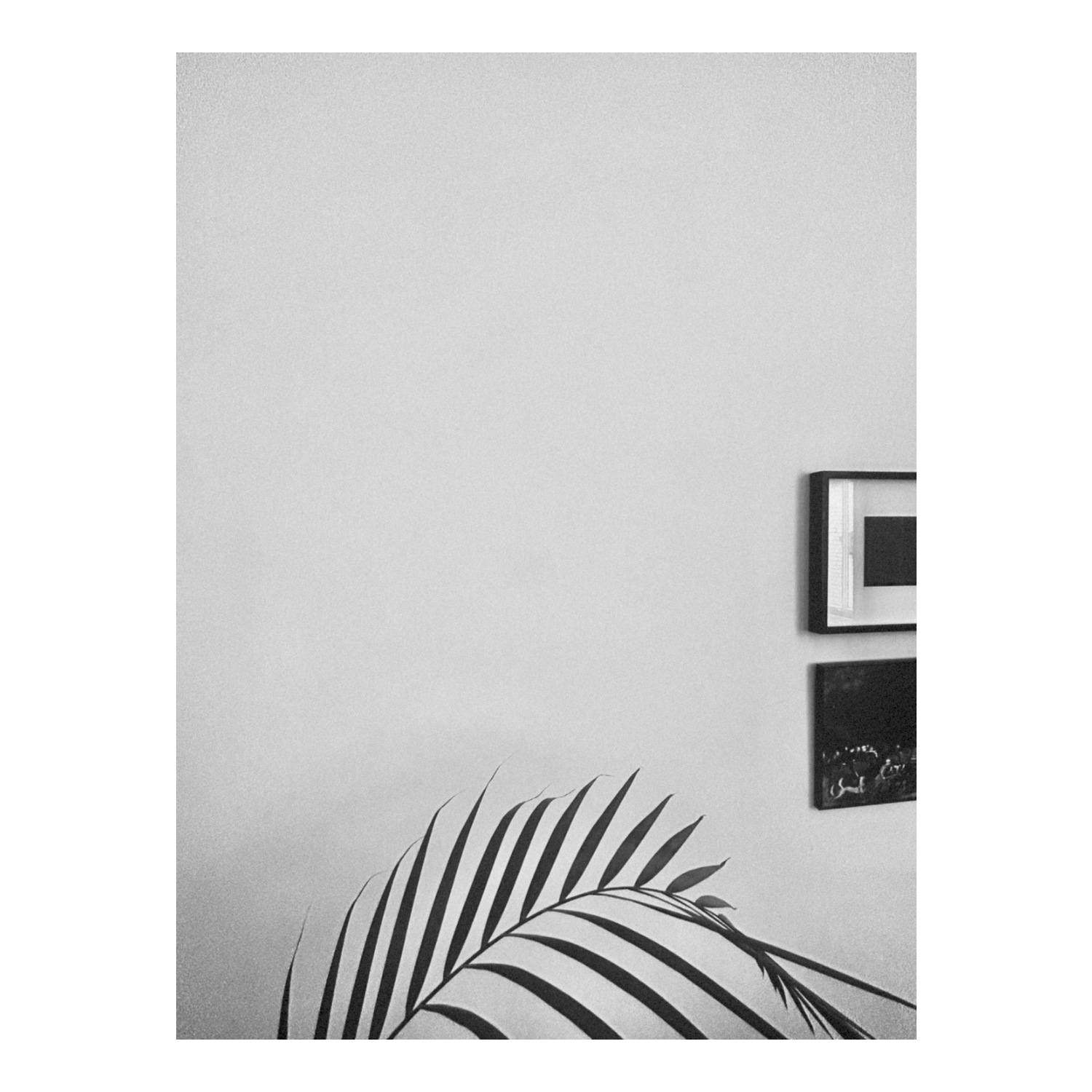 beautiful when concentrated upon. 