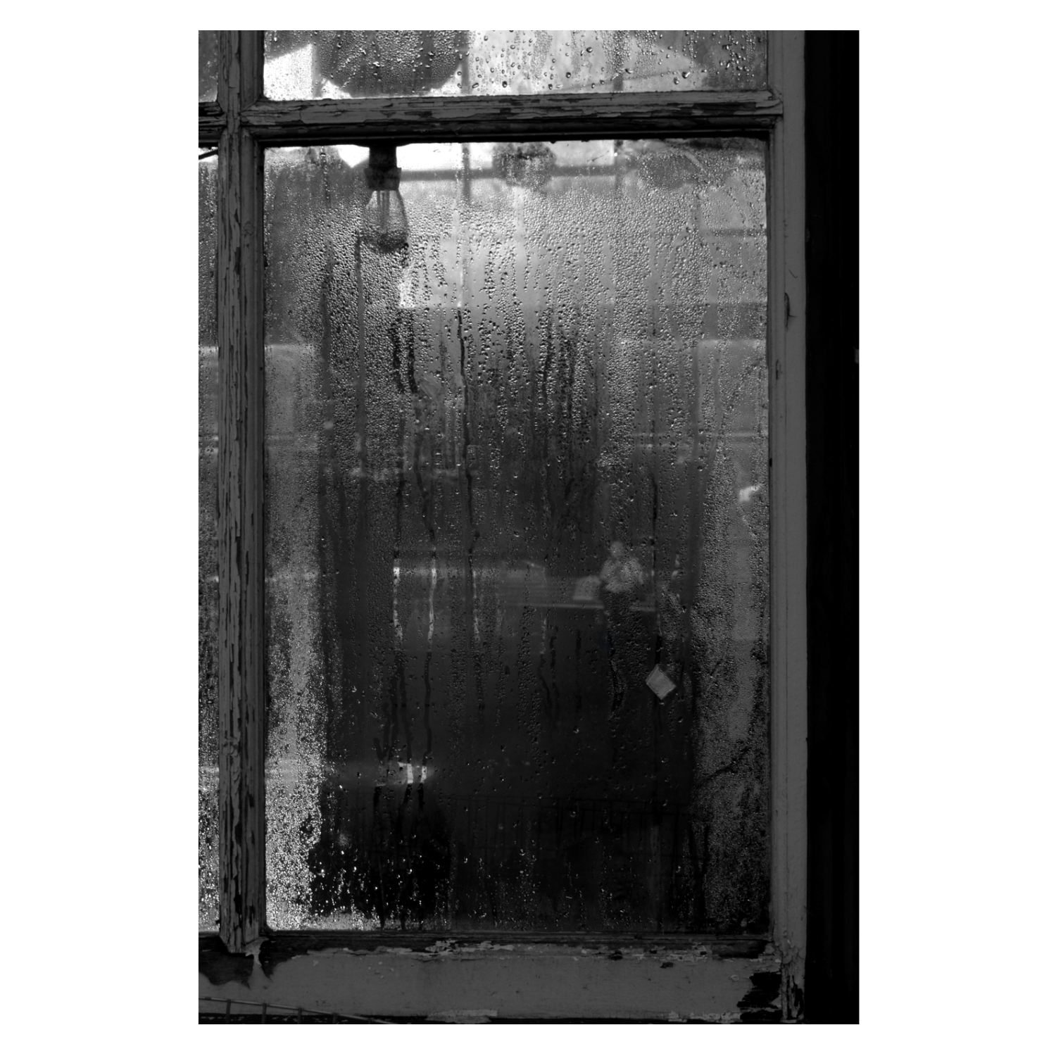 IMG_3745.png