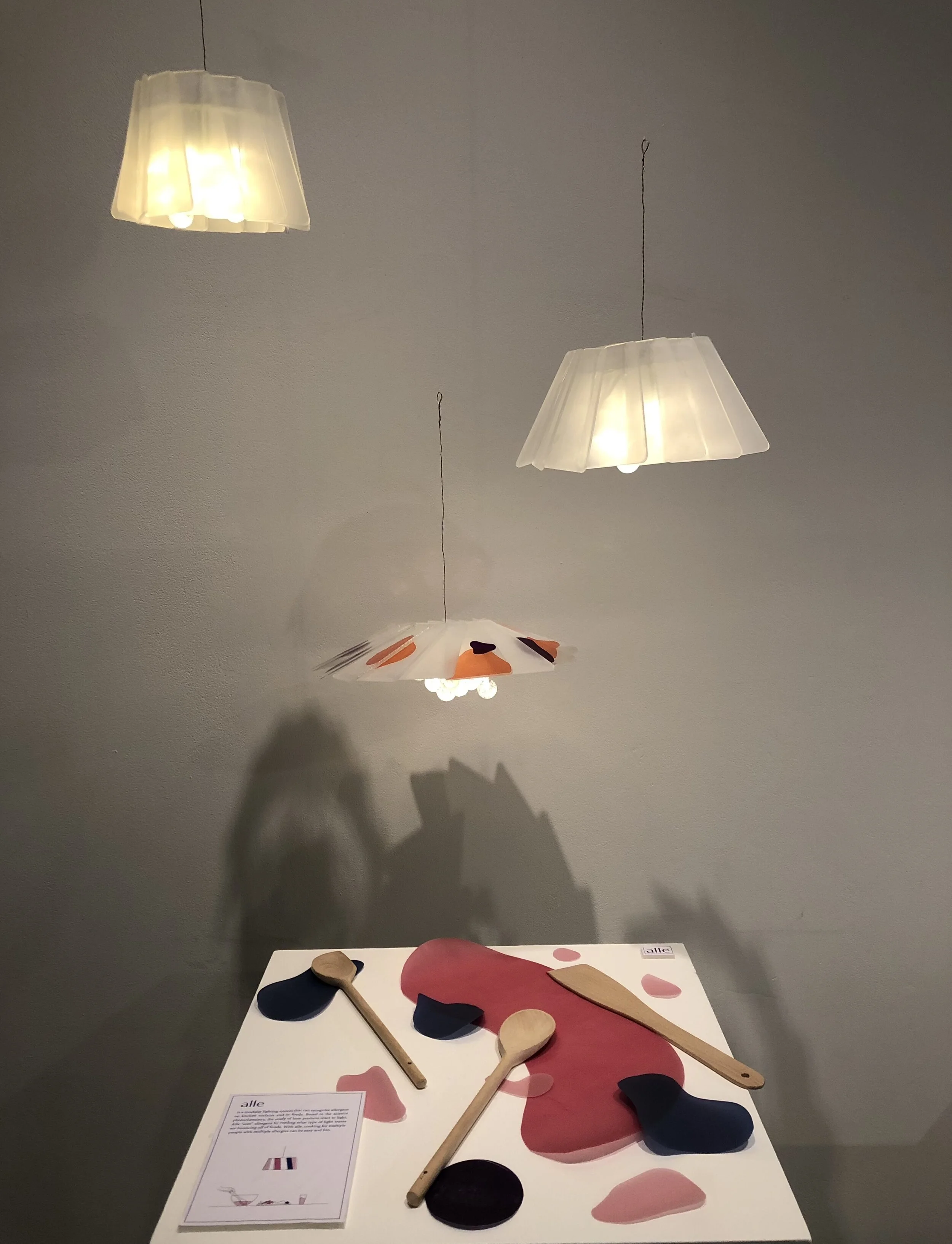 IMG_3264 copy.jpg
