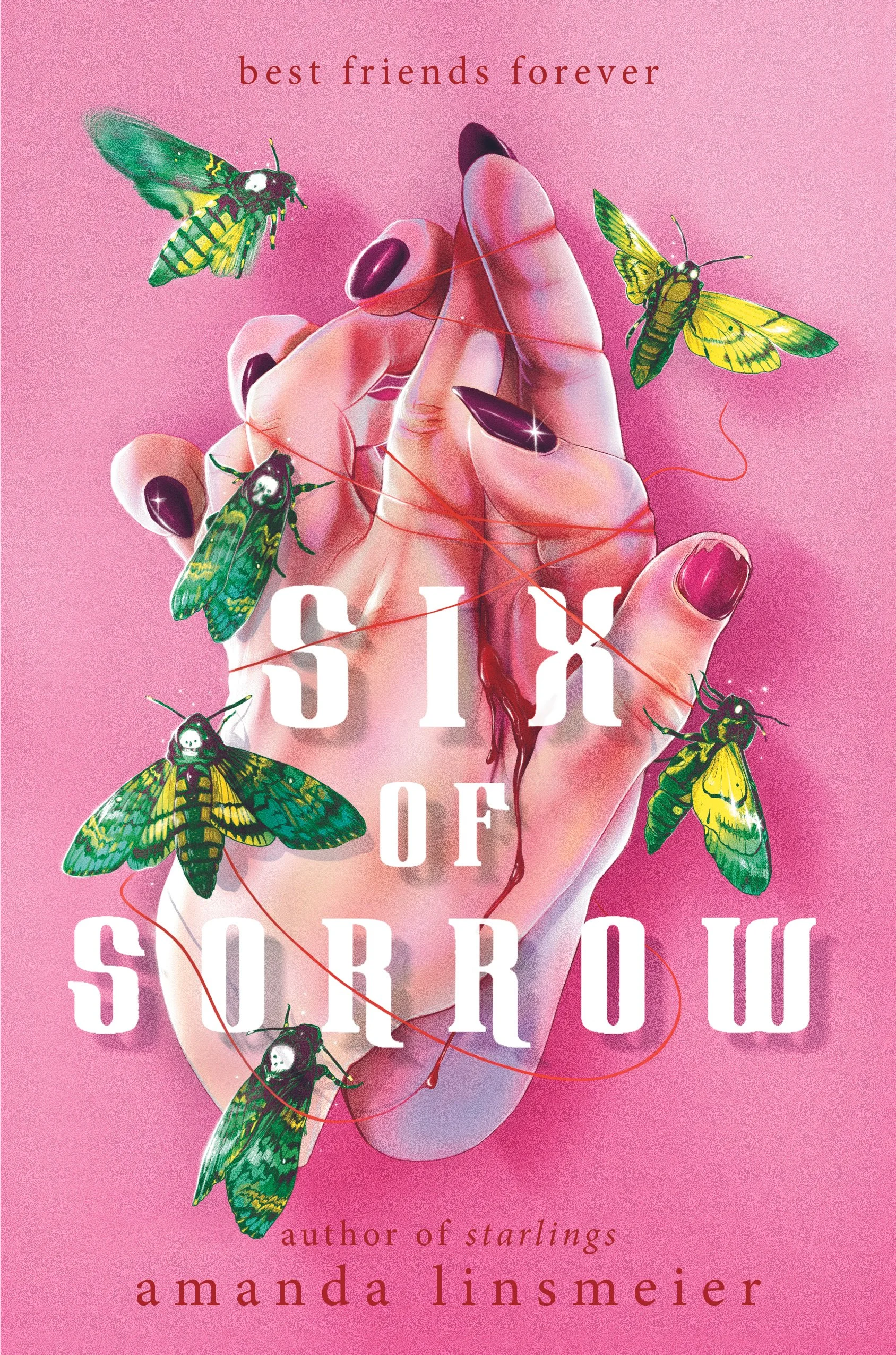 Young Adult — amanda linsmeier