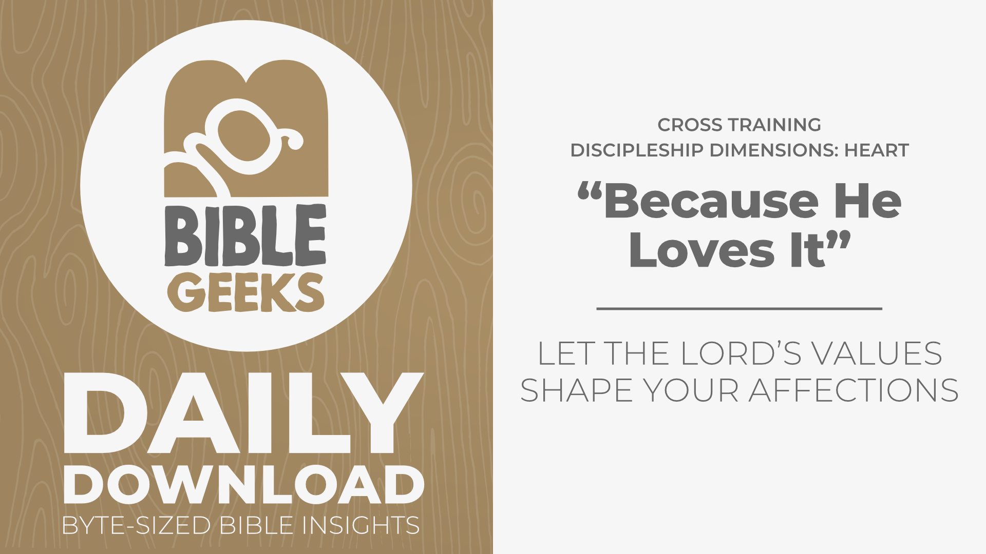 bibleGeeksDailyDownloadPosterTemplate-CrossTraining - 192.png