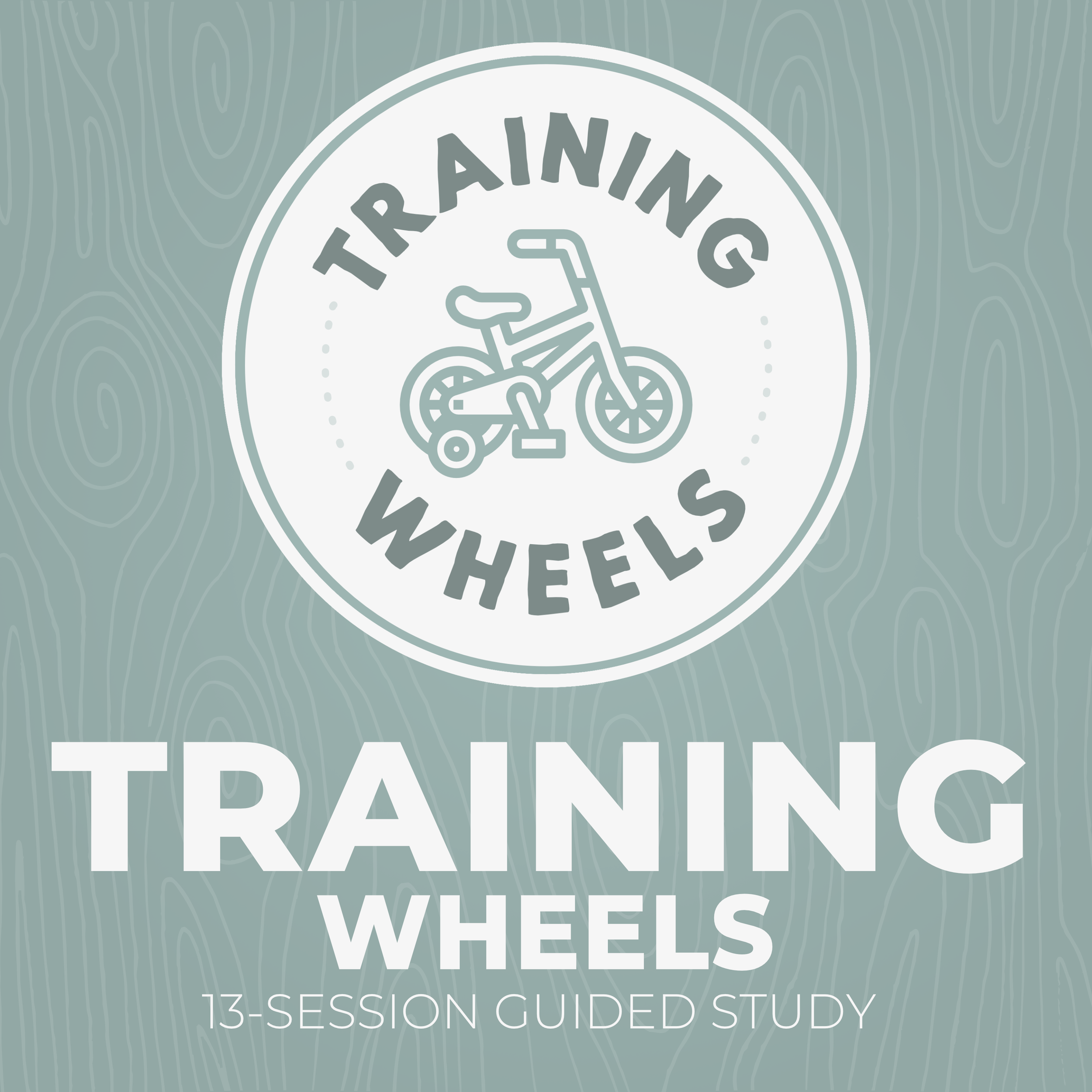 Training Wheels (Copy)