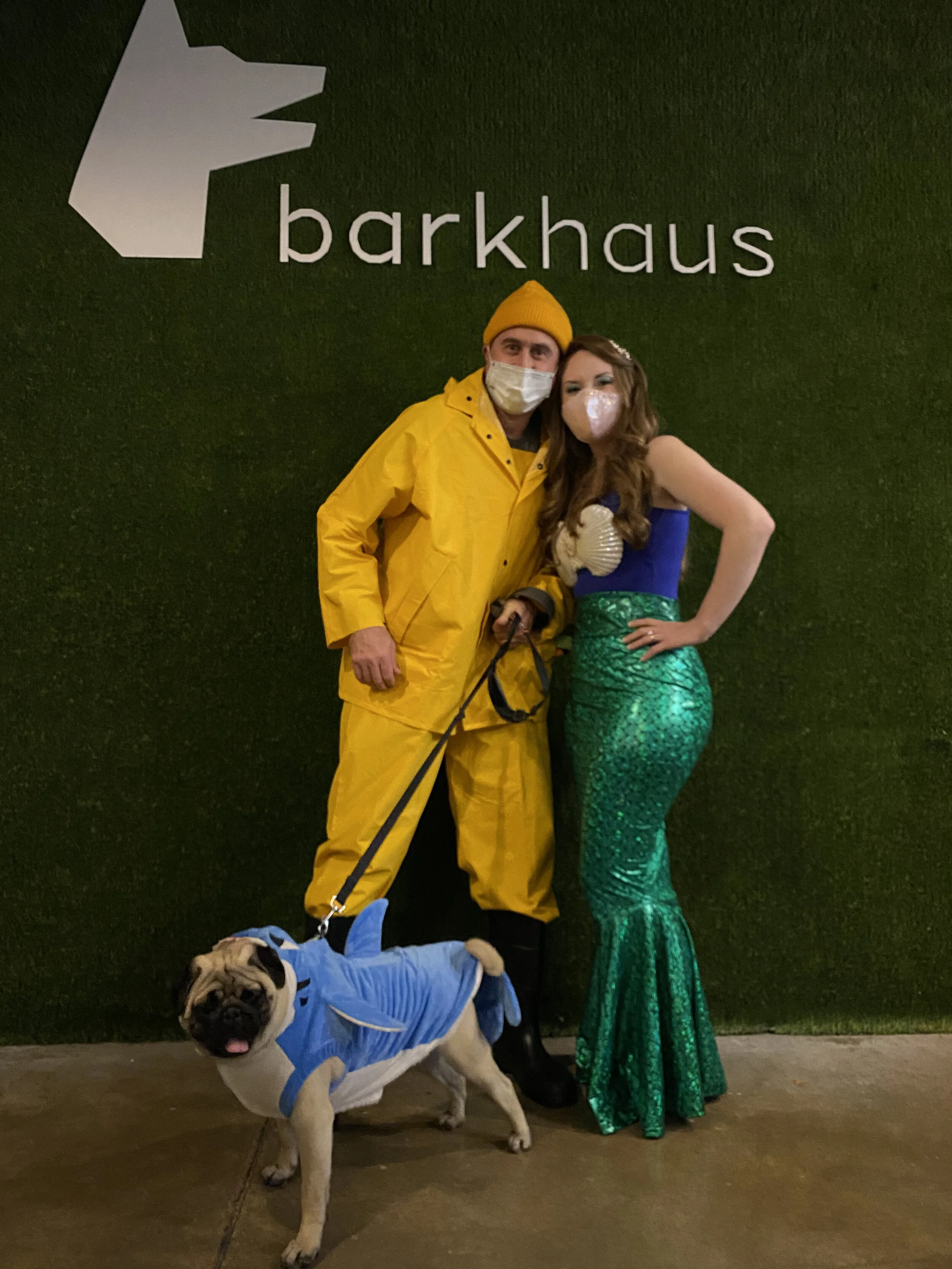 barkhaus dog jacket