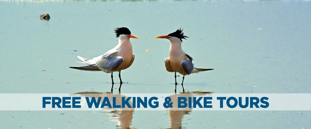 Walking_Bike_tour_header.jpeg