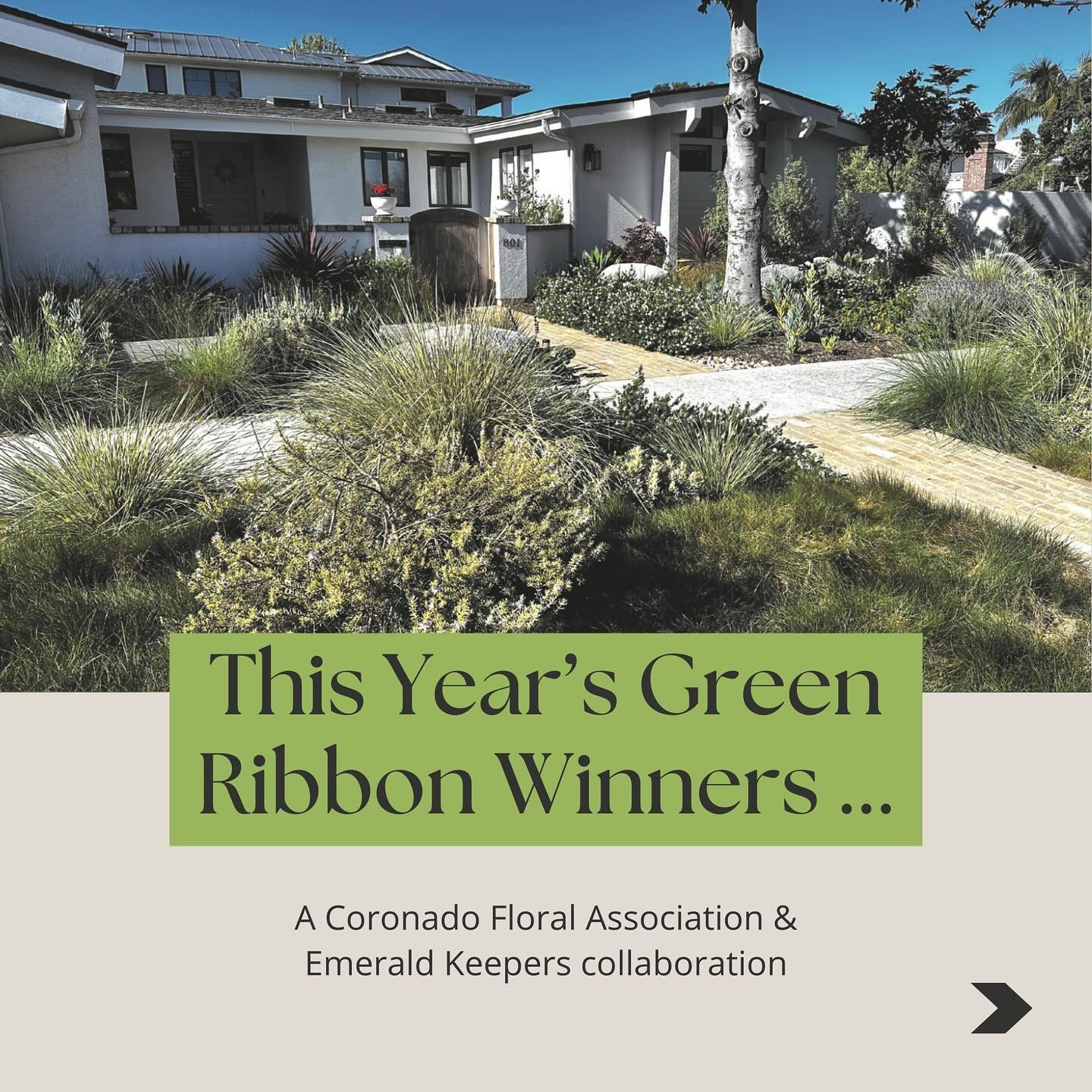 Top eco-friendly landscapes! 🌼🎗️

This year, Emerald Keepers and the Coronado Floral Associafion proudly awarded Earth Friendly Green Ribbons to 318 homes in the Village and Cays. 

These eco-warriors are leading the way with native plants, natural