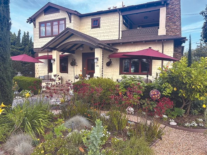 175 G Avenue | BEST IN SHOW