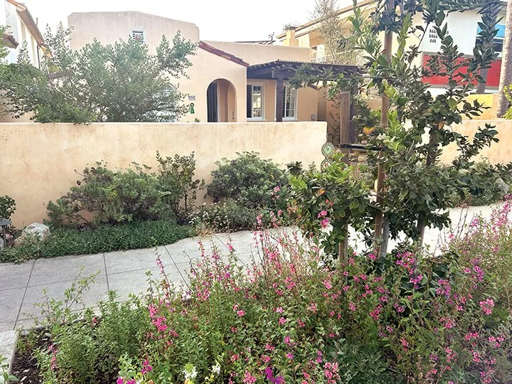 858 G Avenue | First Runner Up