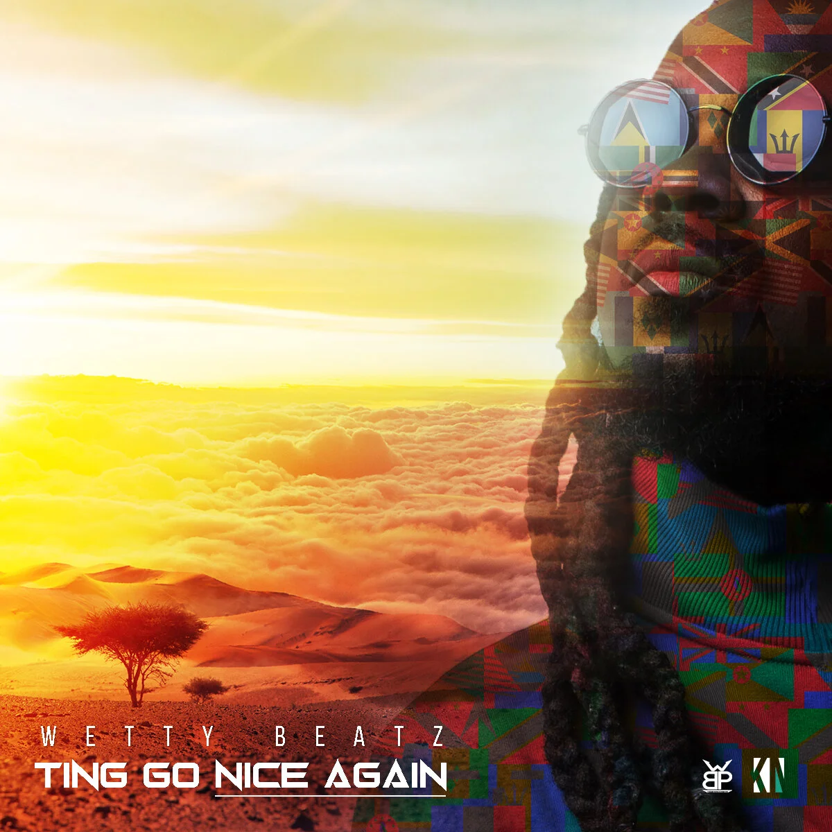 Ting Go Nice Again (TGNA)