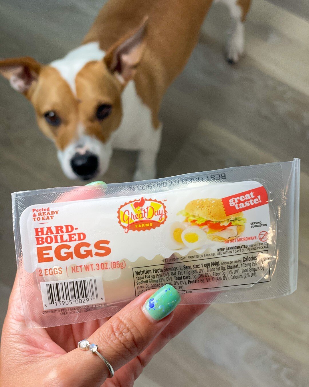 🐶 Fun fact: hard-boiled eggs make a great treat for our canine friends!