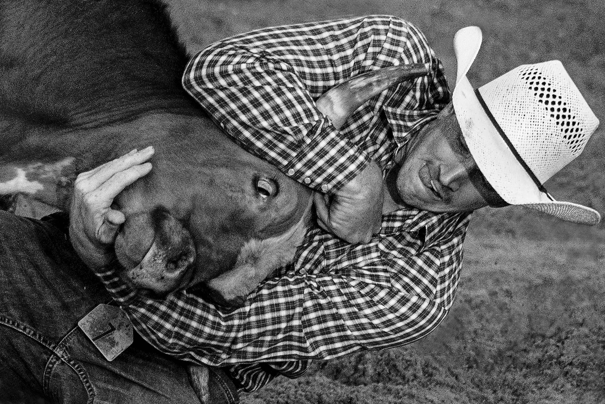 Cowboy Steer Wrestler Cowtown Rodeo.jpg