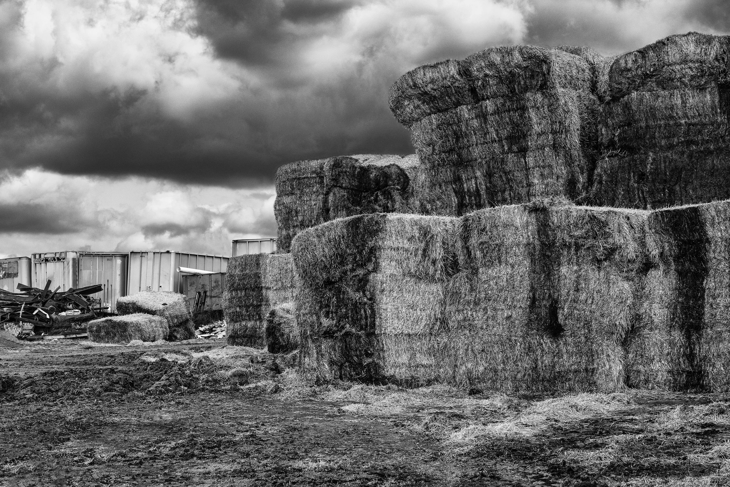 bales8x10.jpg