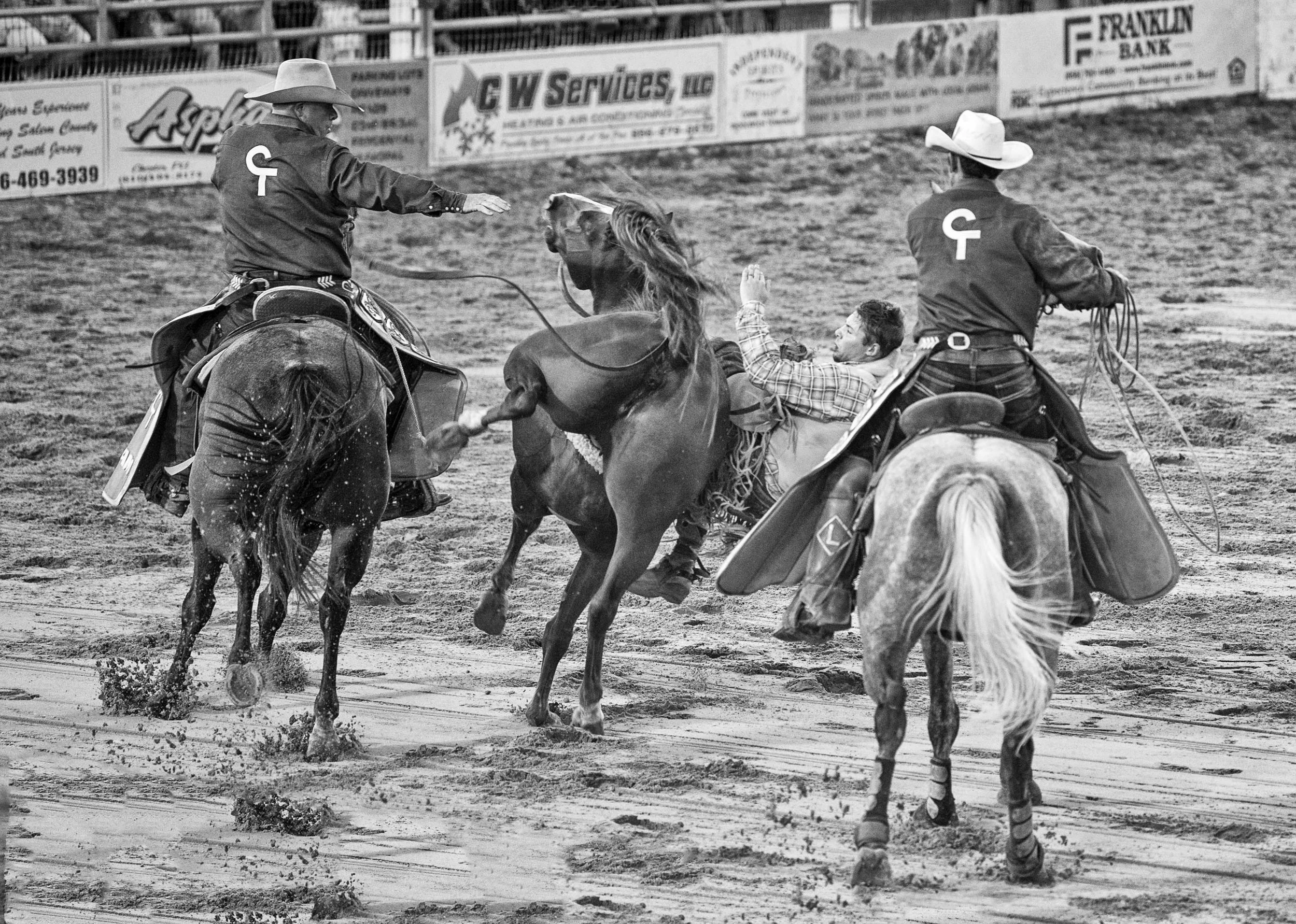 Between Horses.jpg