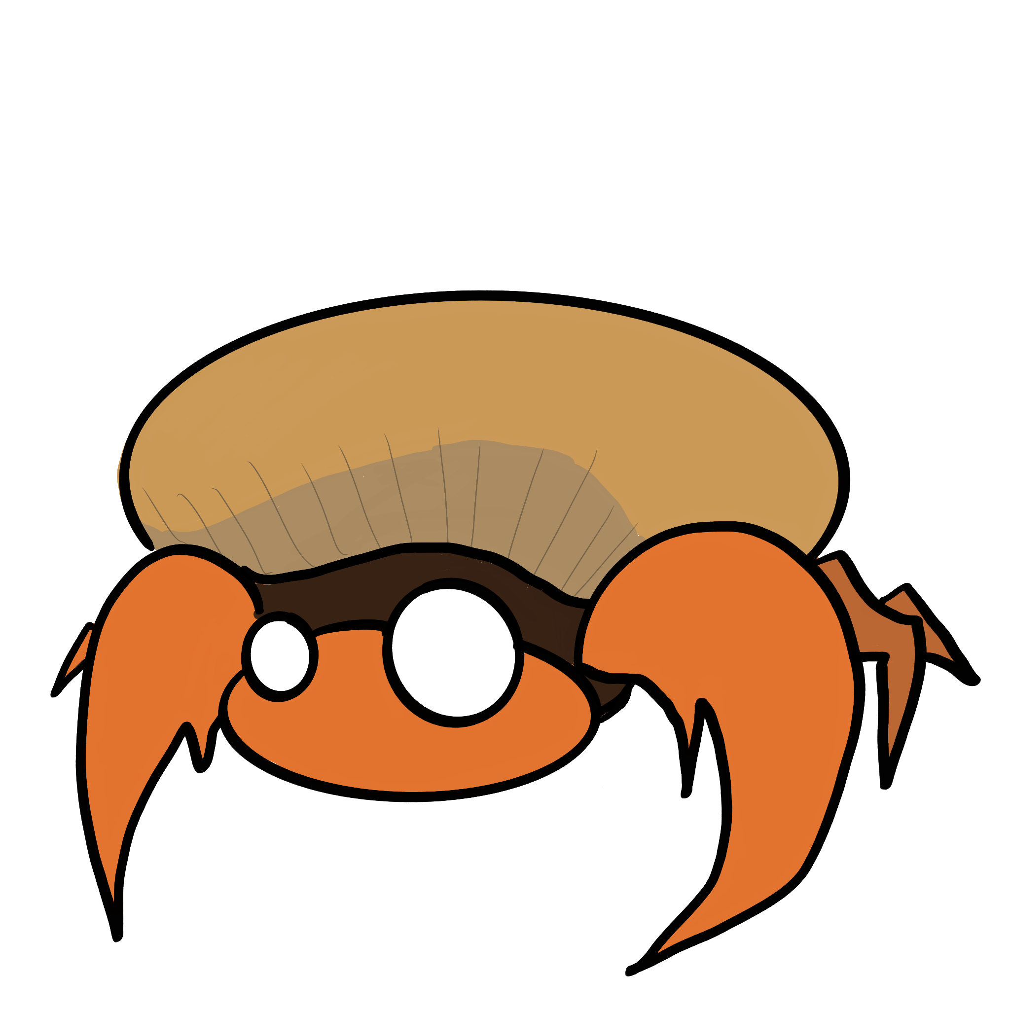IMG_0069.PNG