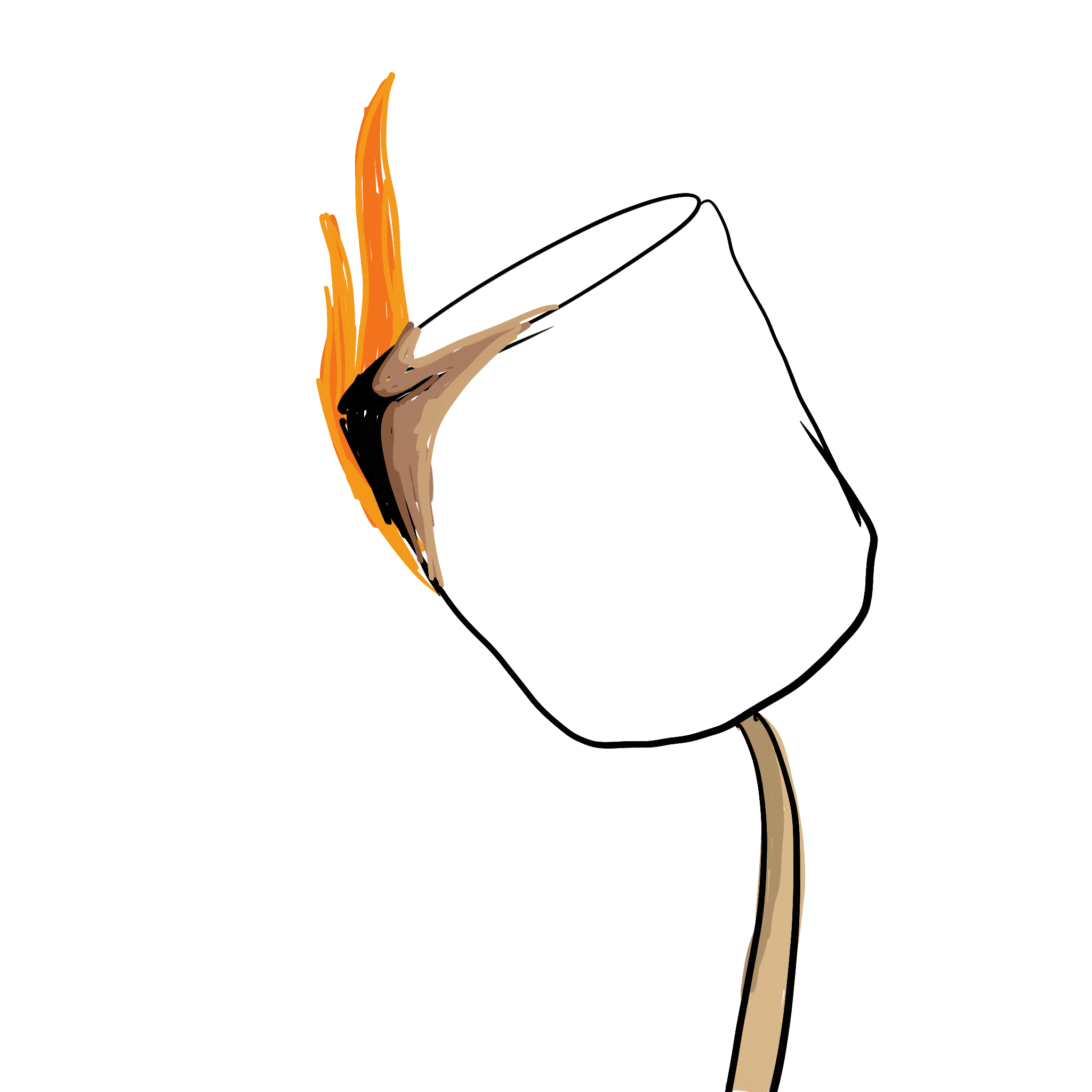 IMG_0079.PNG