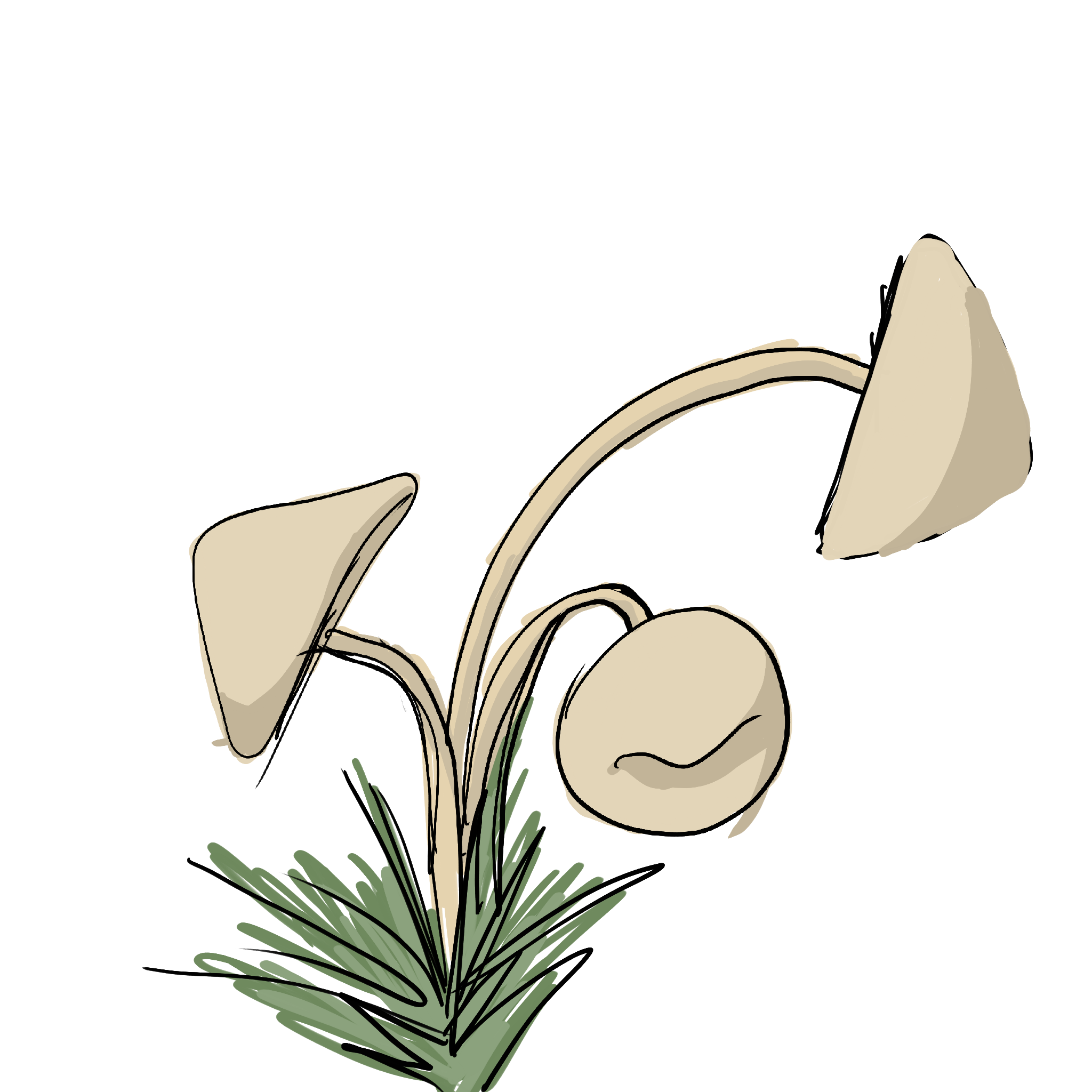 IMG_0081.PNG