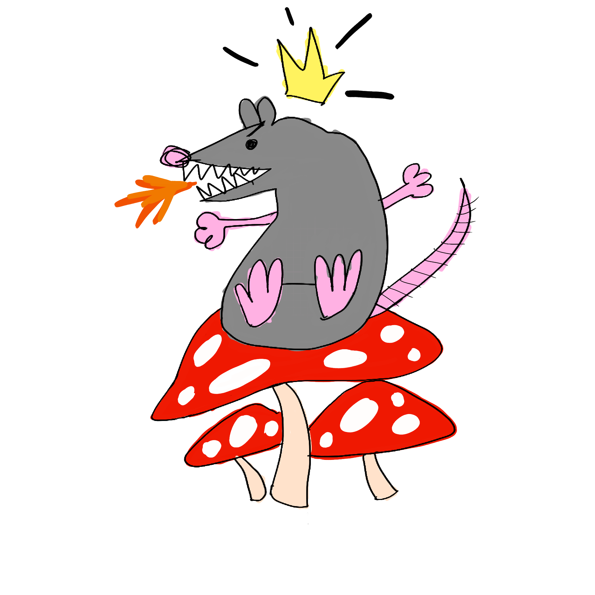IMG_0085.PNG