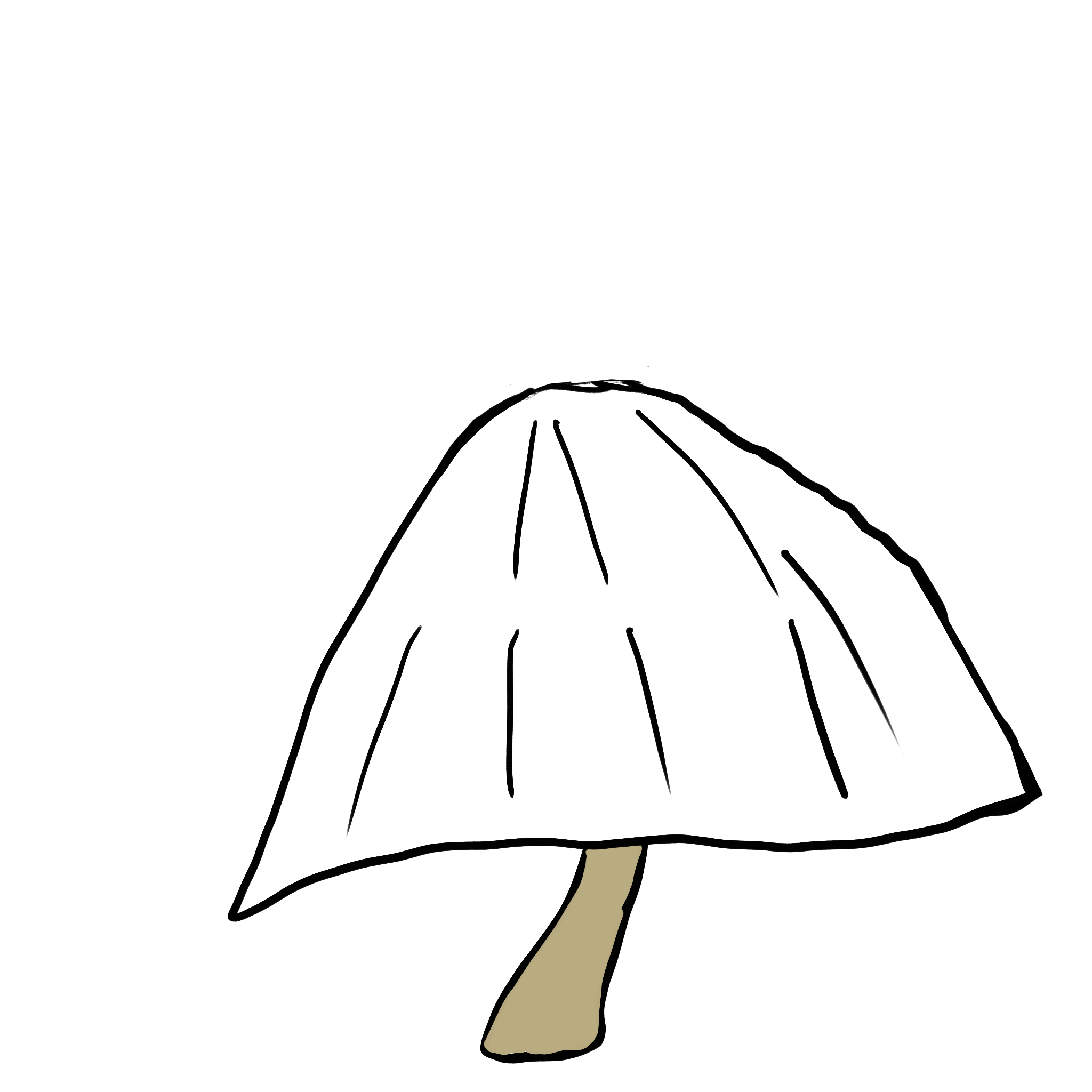 IMG_0086.PNG