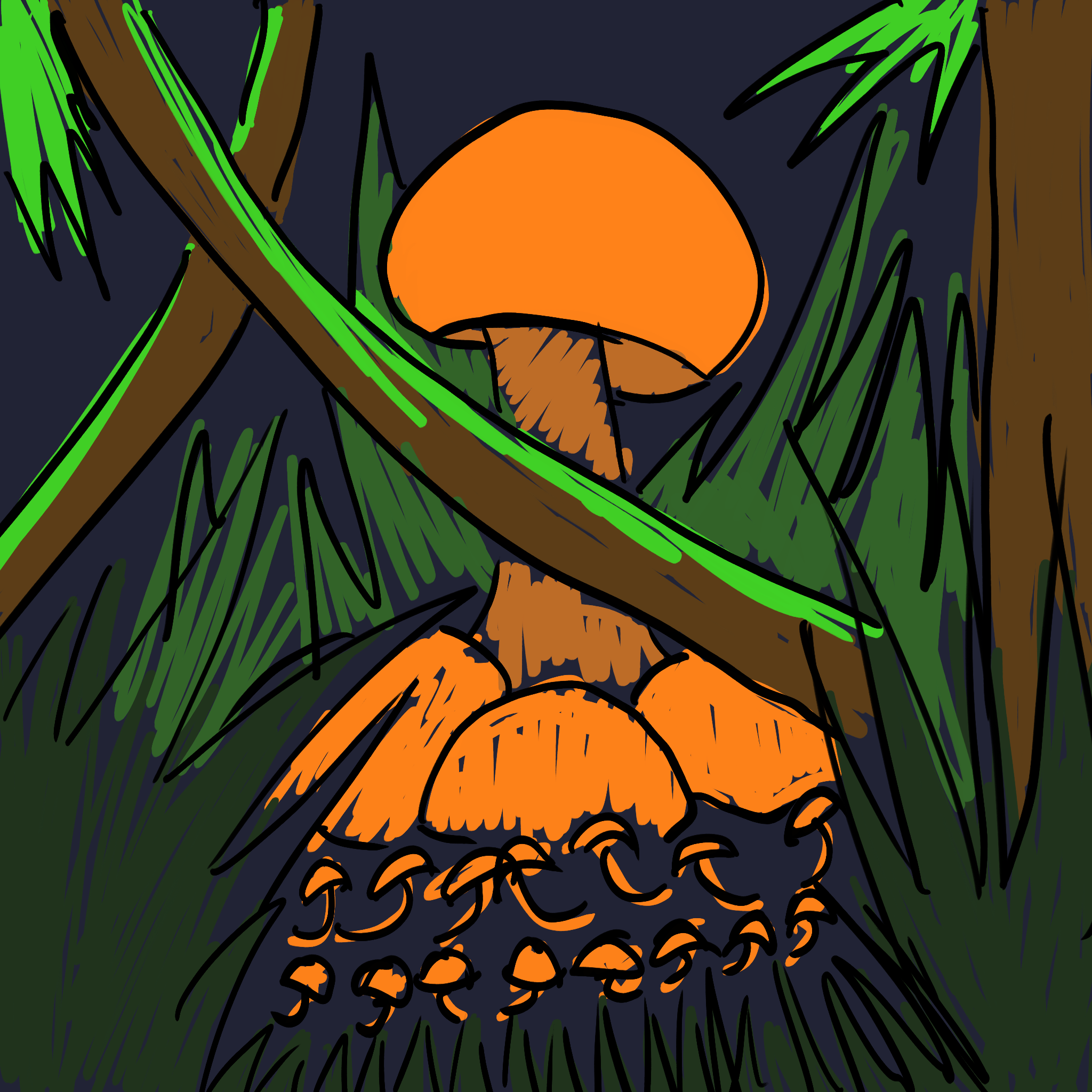 IMG_0089.PNG