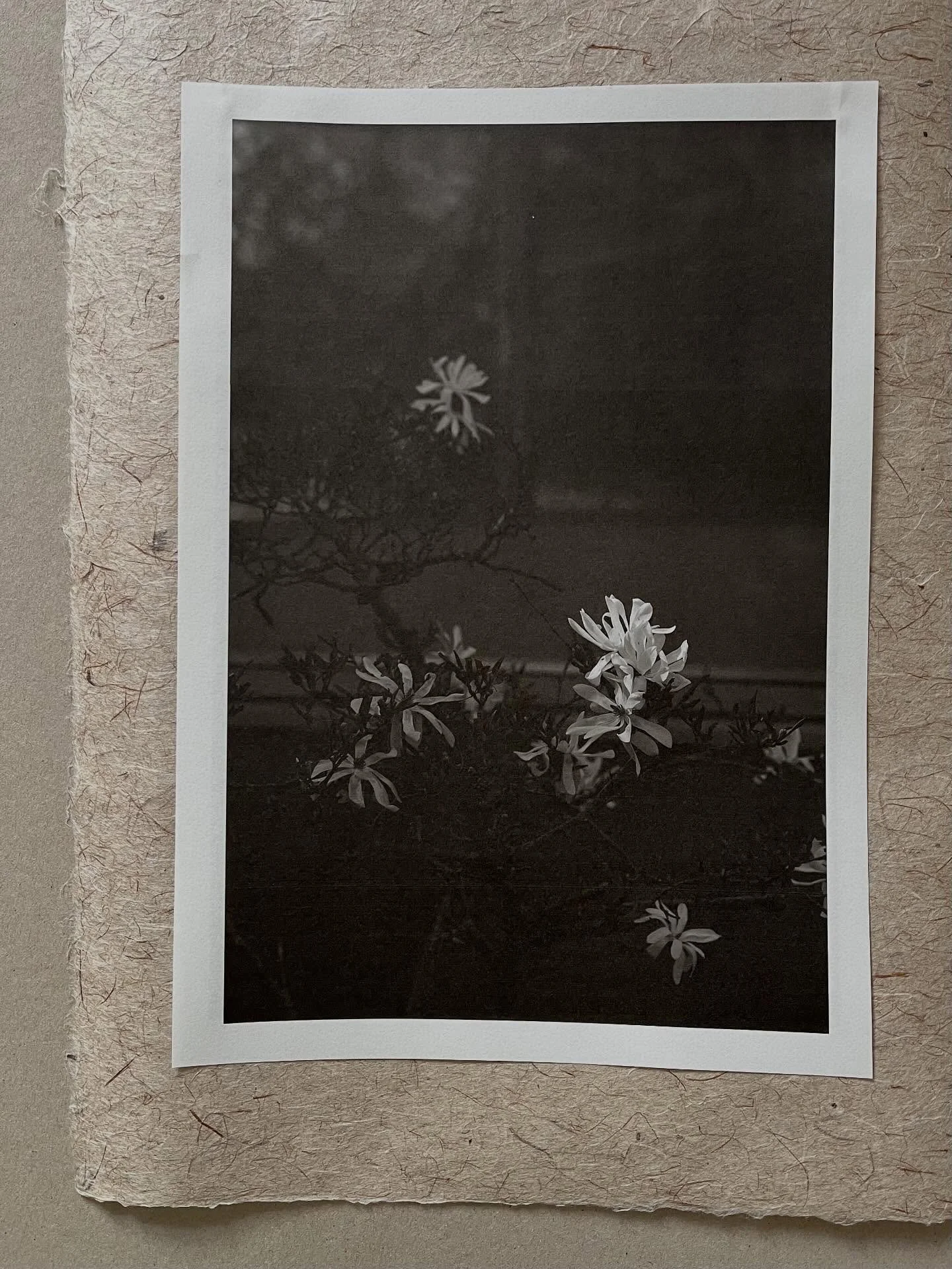 Paper & Pictures 
#paper #pictures