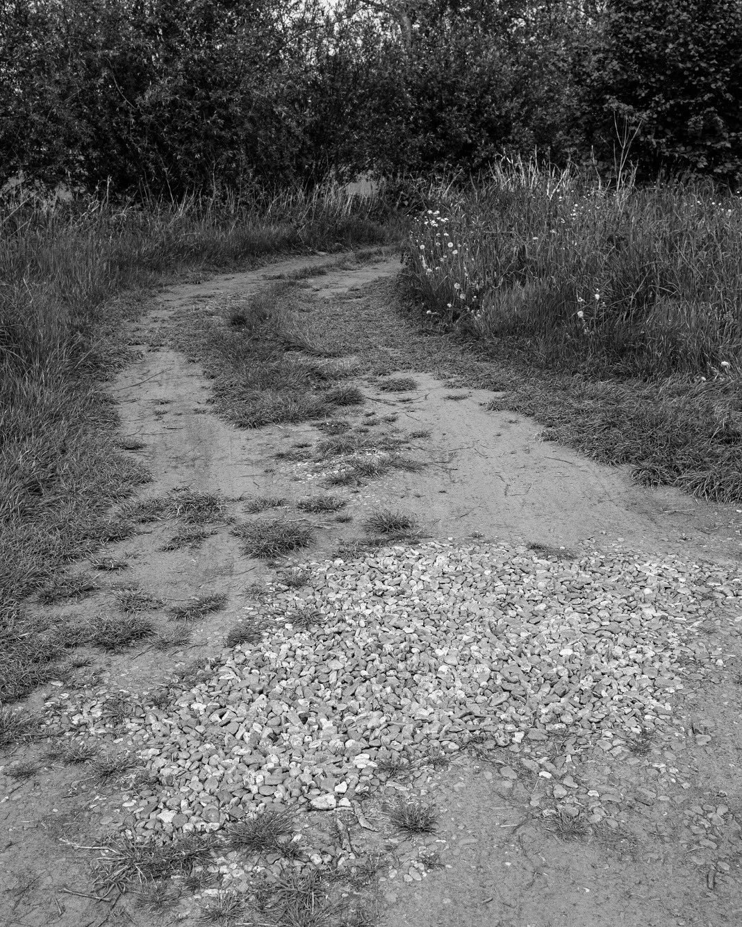 Some older and new work. 
#visualpoetry #sequencing #roots #ground 
@saskia_johanna_dv