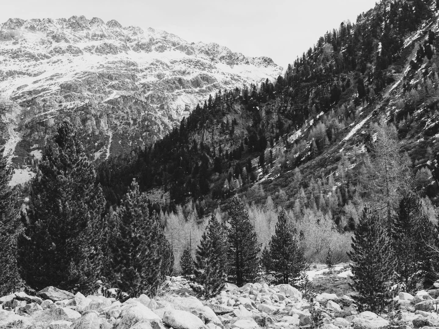 In Search of Nijinsky will be published in April / May 2026. 

&ldquo;One day I was in the mountains, and I came to a path leading to a mountain. I followed it and stopped. I wanted to
 speak on the mountain because I felt a desire to do so. I did no