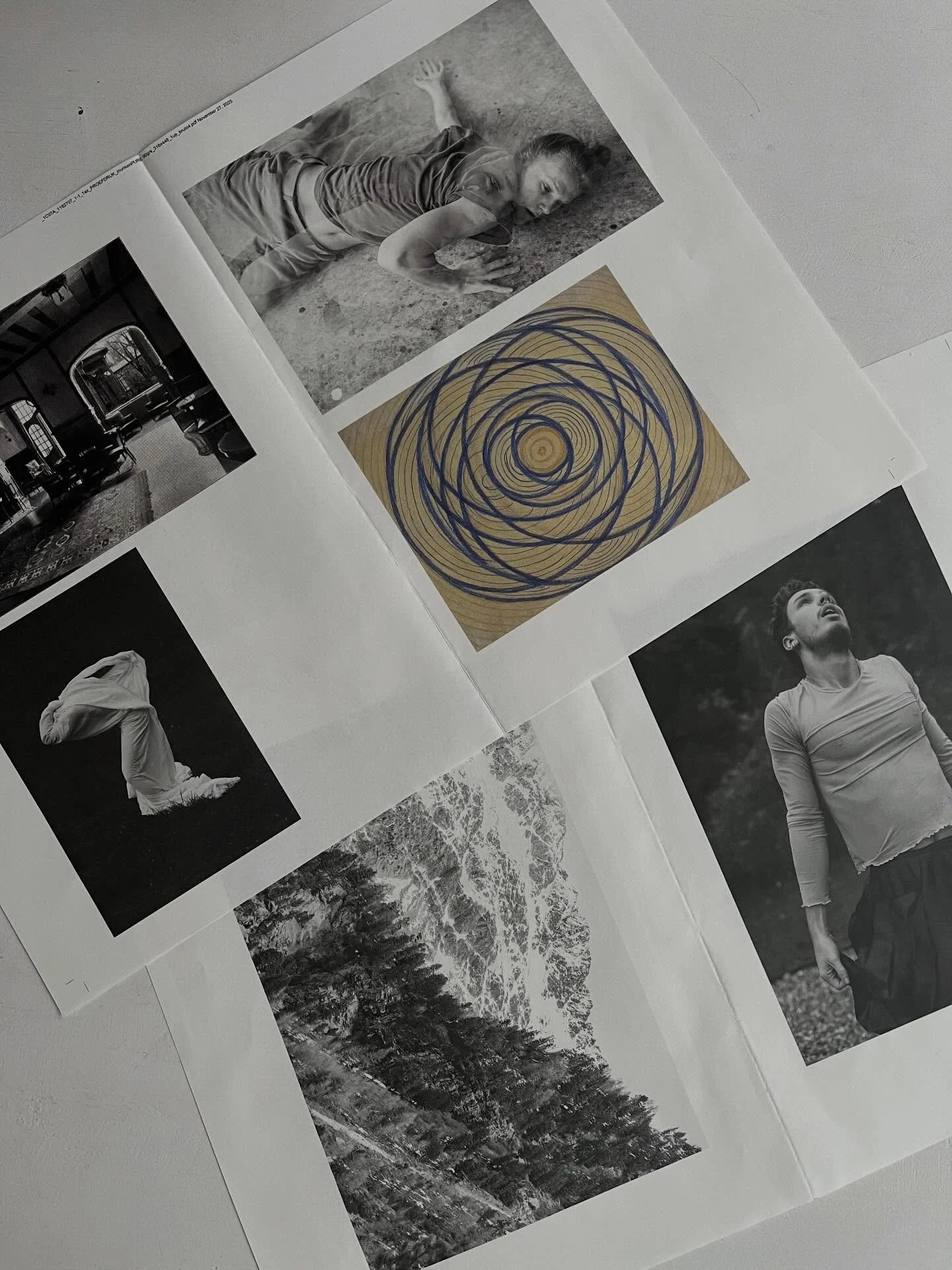 First Indigo Proofprints 🙂
#bookproject #insearchofnijinsky #libertaspascal #proofprints #waterlandeditions