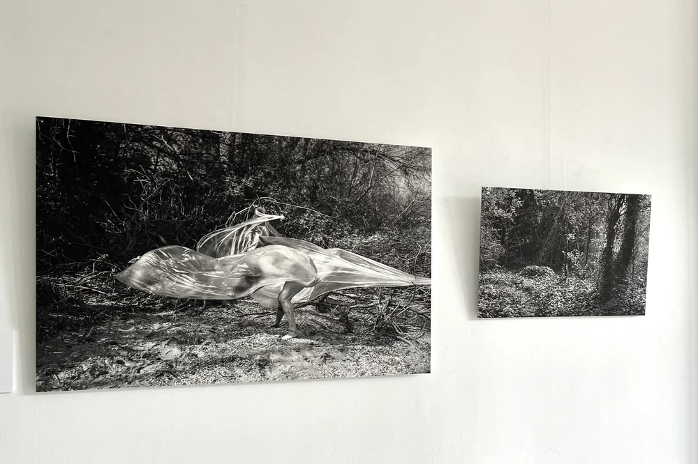 Reflection on my exhibition Inner Movement - MONIQUE BELIER