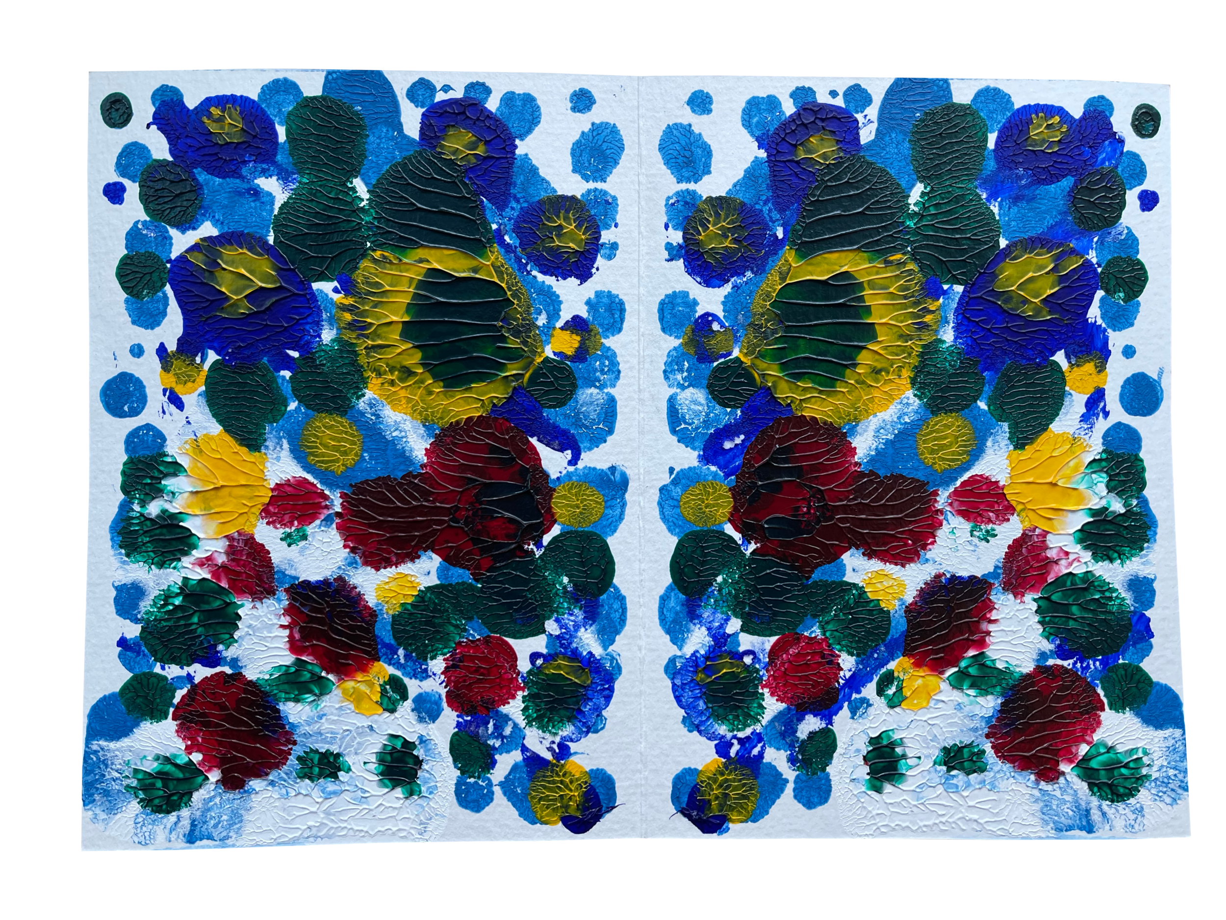 IMG_9081.png
