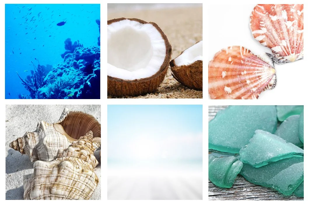 Island Reflections Panels.jpg
