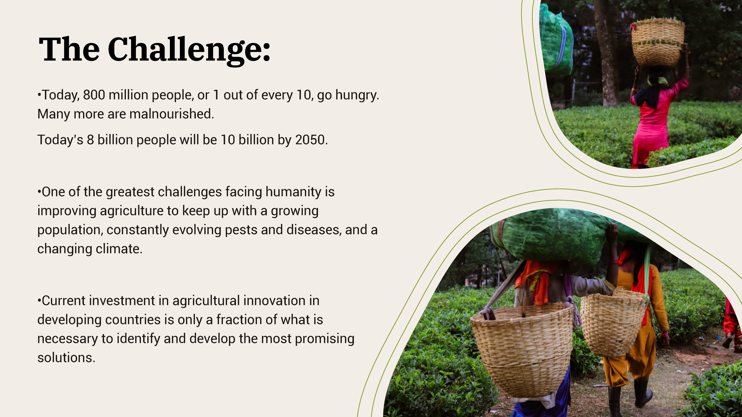 Grow Further_Page_02.png