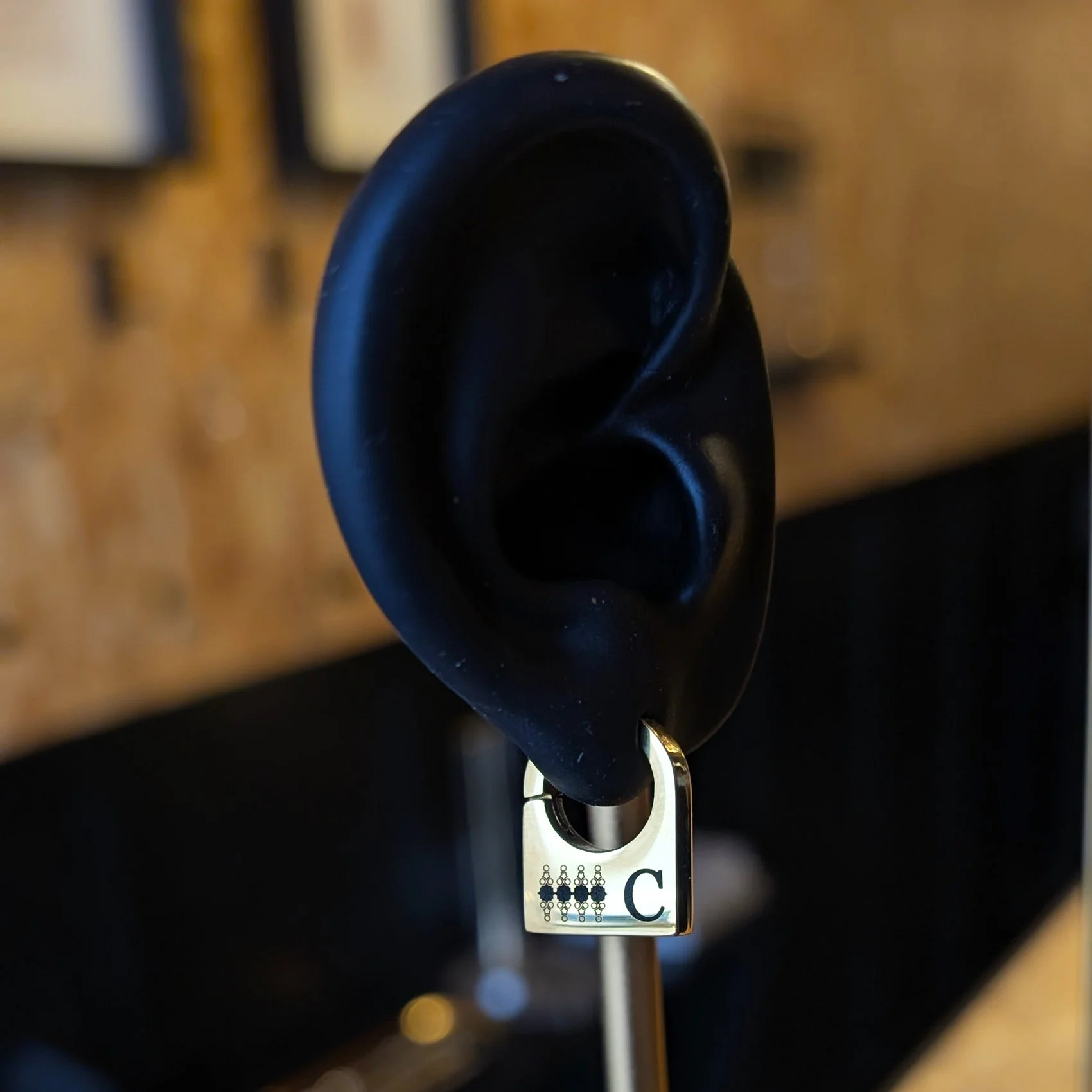 purse earring ear shot.jpg