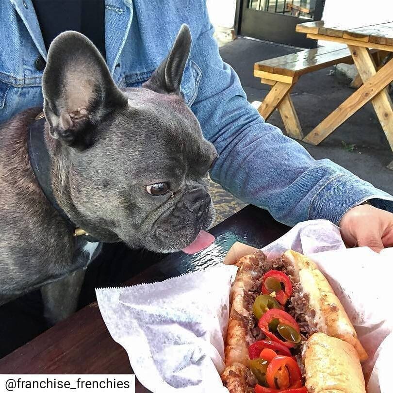 Dogs can smell about 40 times better than us. Imagine being SO close... 🐕🤗 #NationalLoveYourPetDay
📷 @franchise_frenchies
.⁣⁣⁣⁣⁣⁣⁣⁣
.⁣⁣⁣⁣⁣⁣⁣⁣
.⁣⁣⁣⁣⁣⁣⁣⁣
#boosphilly #cheesesteaks #LAeats #eatthis #instafoodie #munchies #hungry #quarantine #delivery