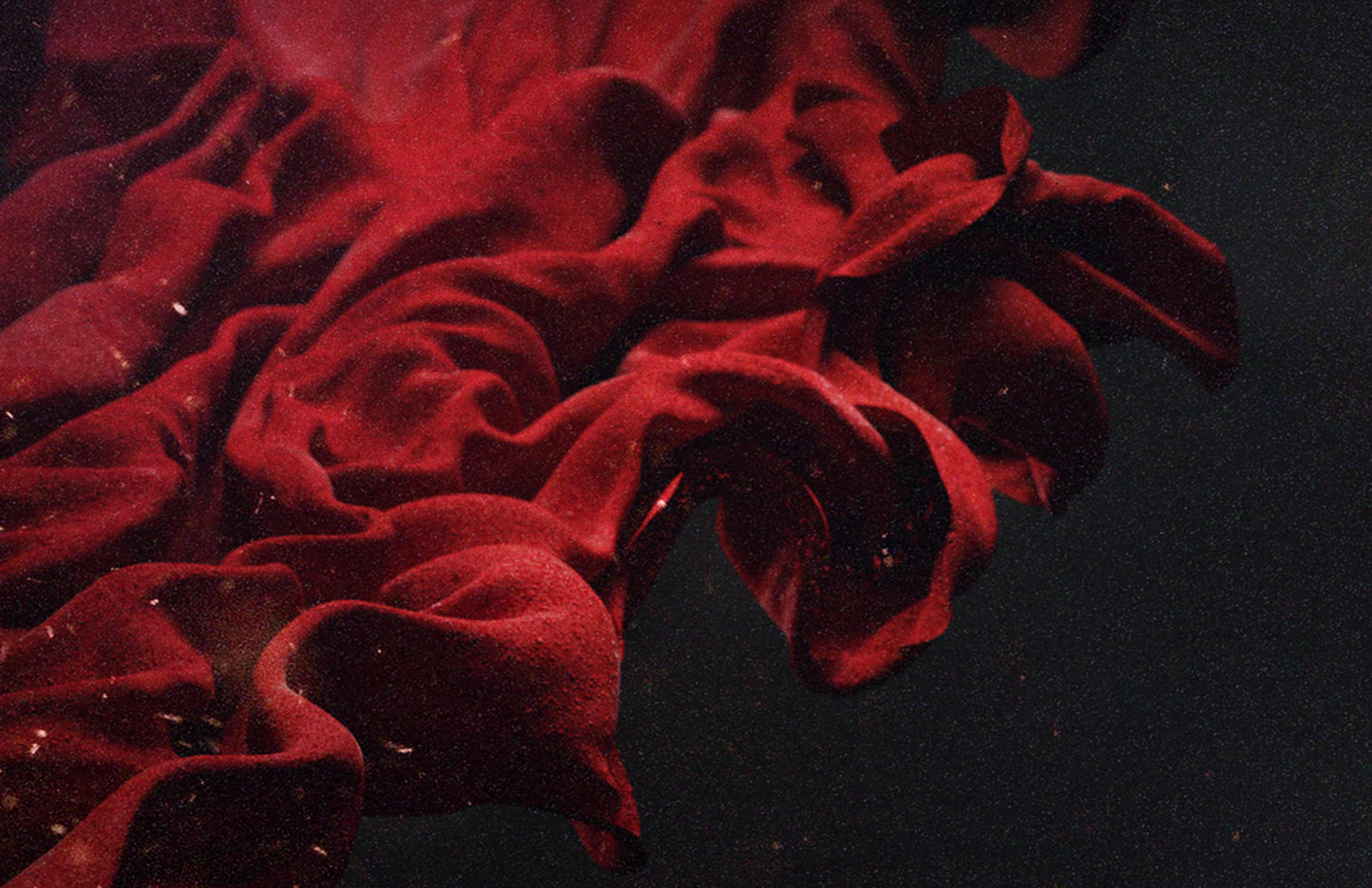 Teaser Trailer Stills