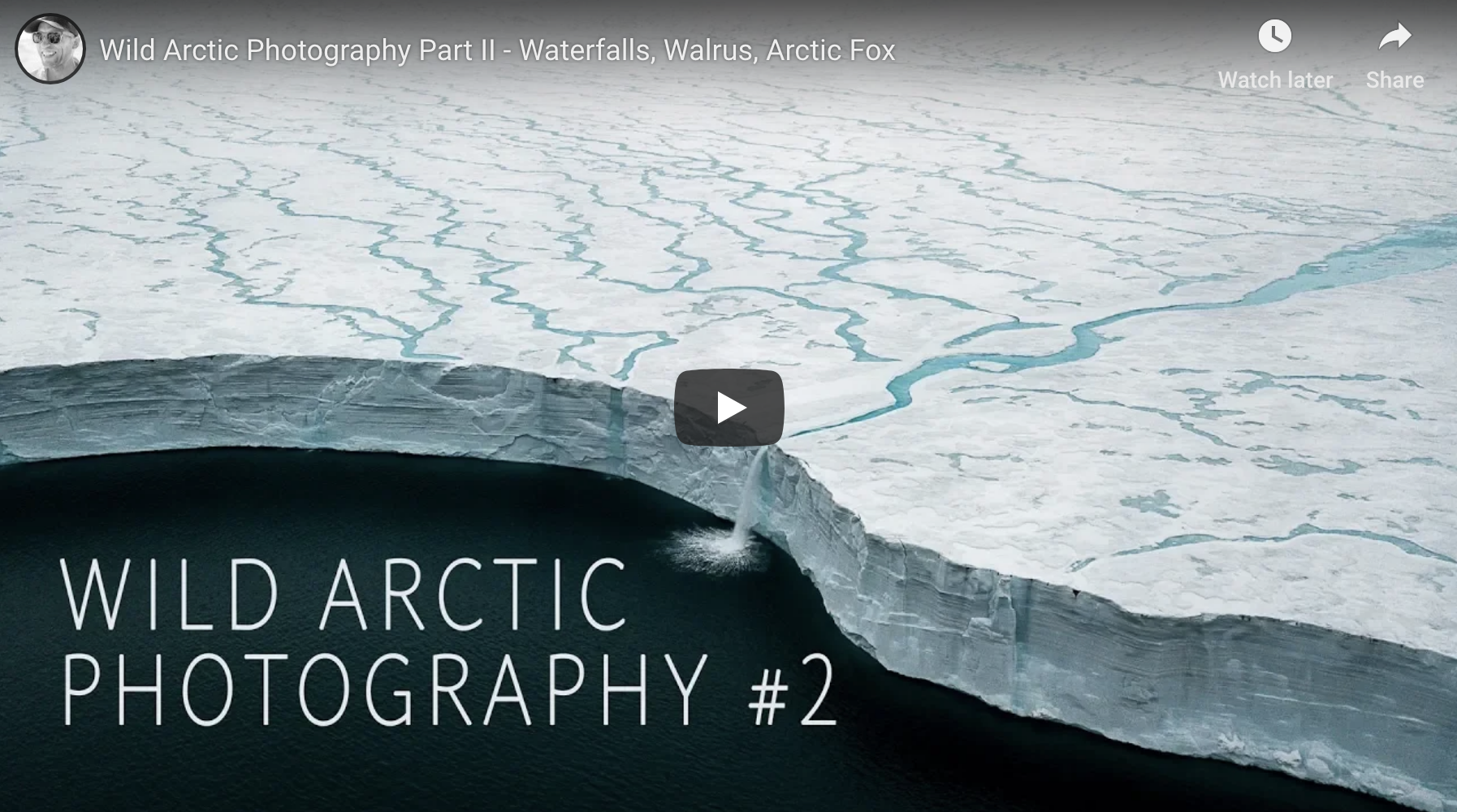 Wild Arctic Photography Part II - Polar Bear Cubs, Waterfalls, Arctic Fox