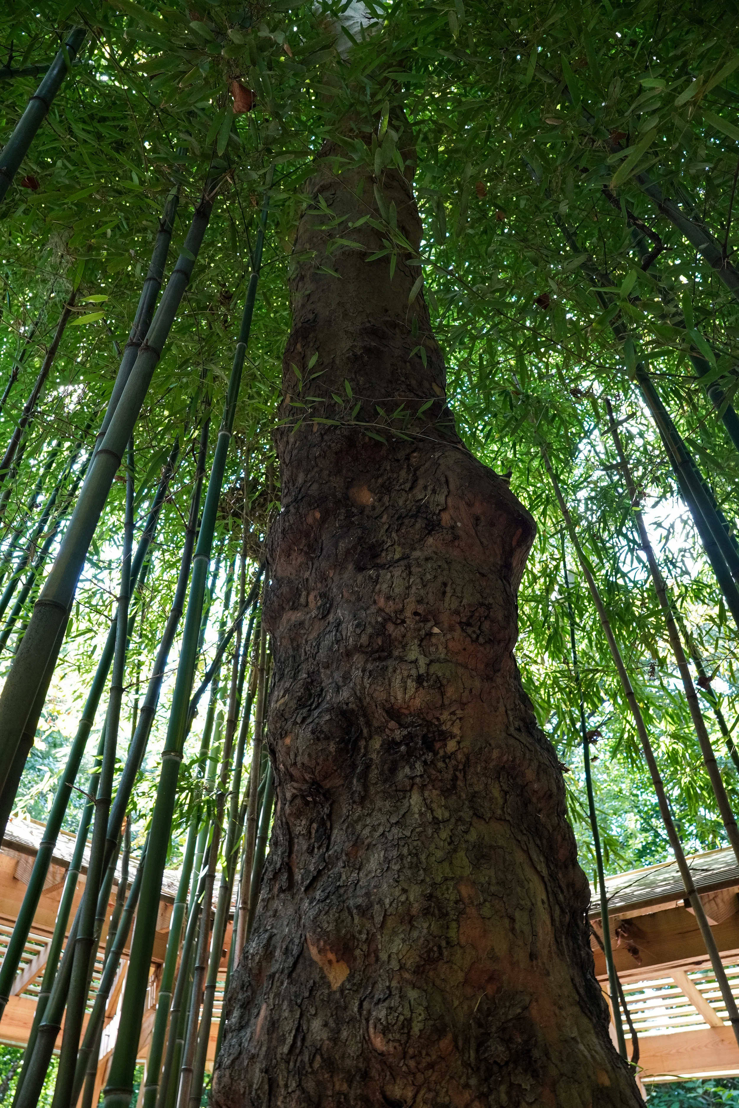 Sony 16-55 at 16mm 1/40 f/5.0 ISO 250