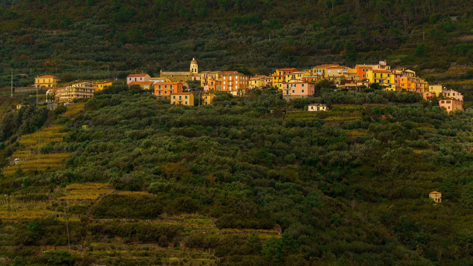 20211104_Italy-CinqueTerre-_DSC00234.jpg