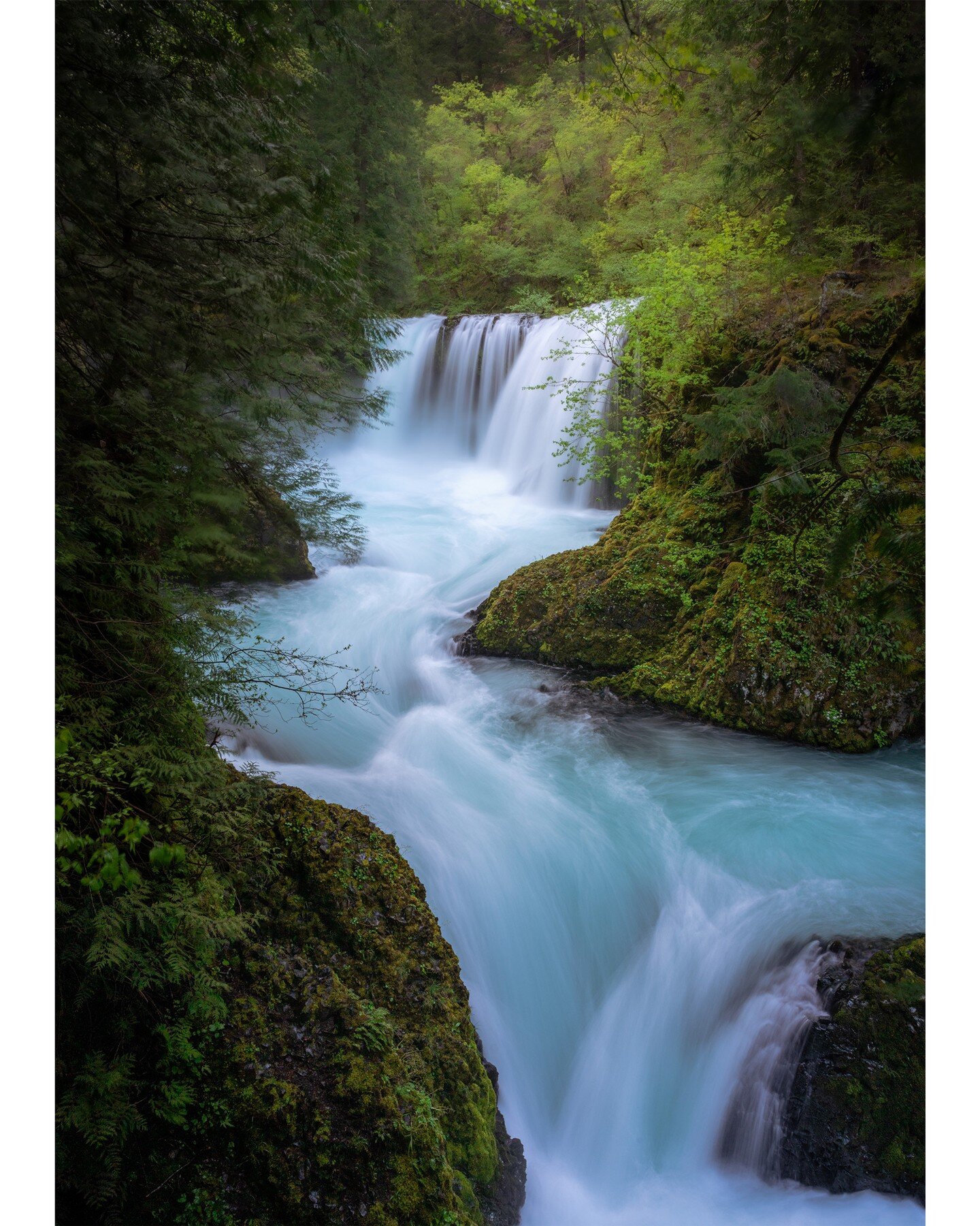 Local adventures! I cleared my calendar from Sunday to Tuesday. Sunday afternoon I tossed the dog in the car and headed south to see a bunch of waterfalls that have been on my list for years. It was a great 48 hours chasing waterfalls- even when the 