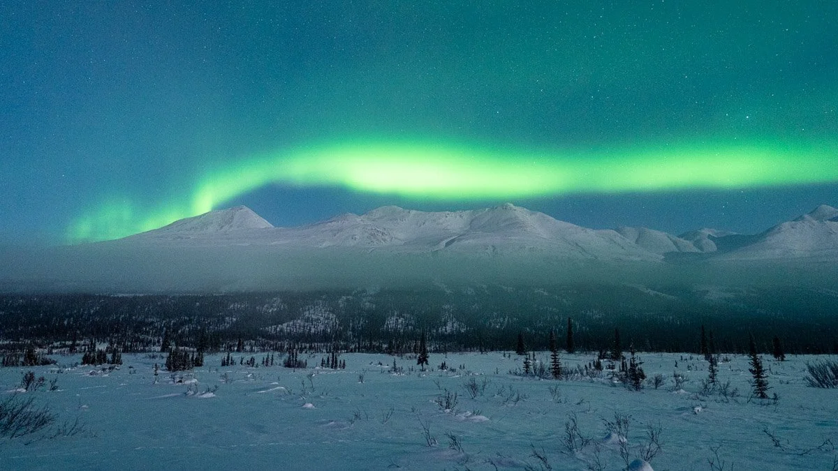 20230210-AlaskaYukonQuestMcKay-DSC02962.jpg