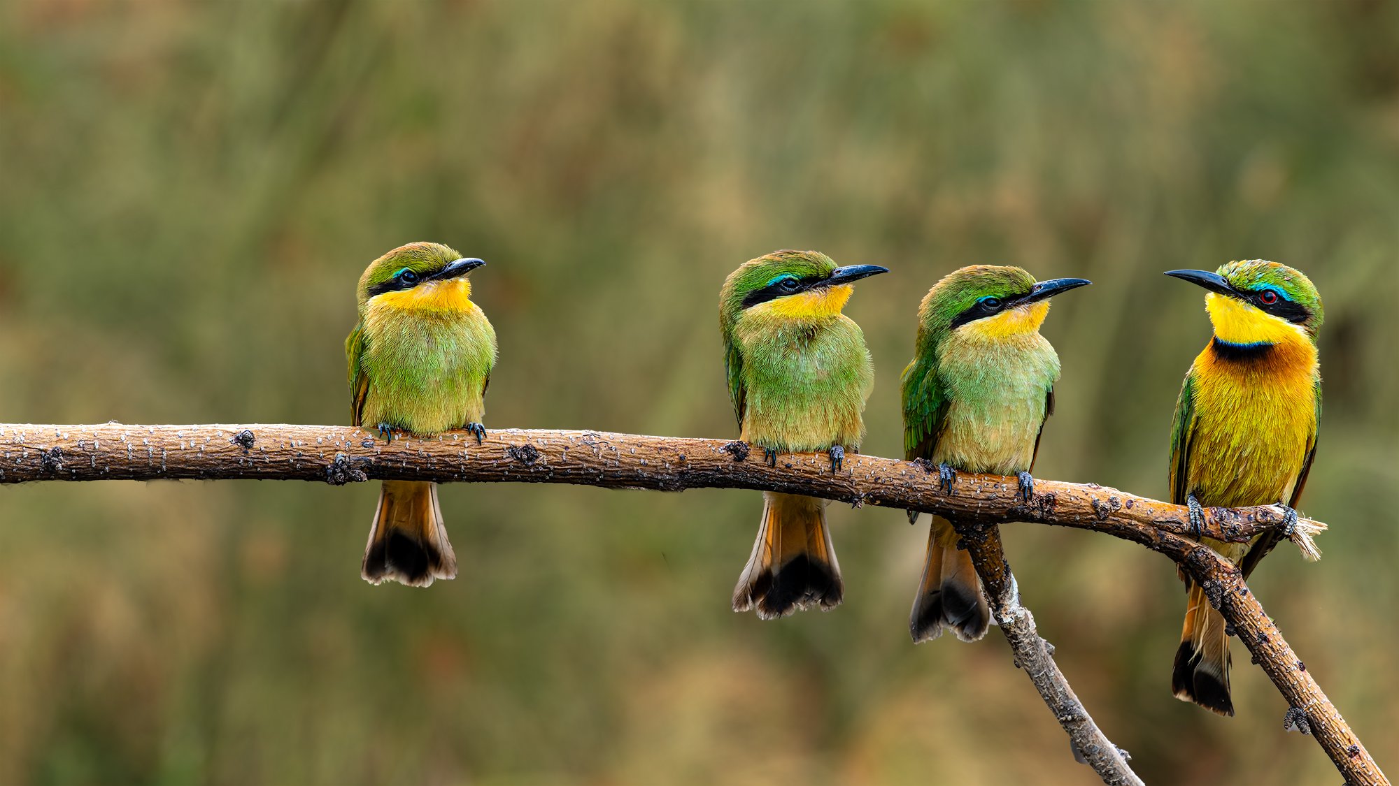 FB2 -20231117-Botswana McKay-DSC08538-ARW__DxO-dp-Edit.jpg