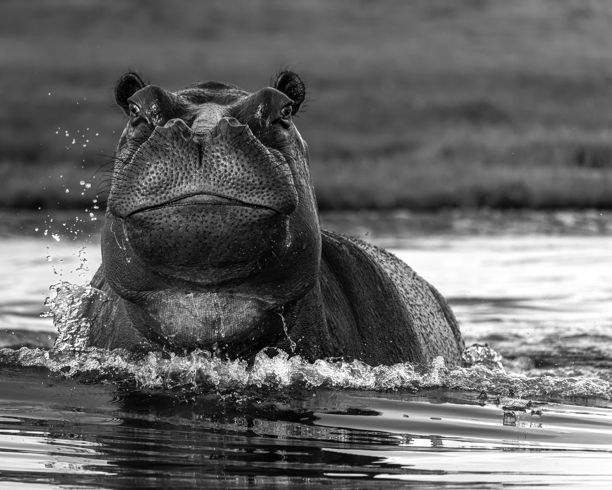 20231117-Botswana McKay-DSC08866-ARW__DxO-dp.jpg