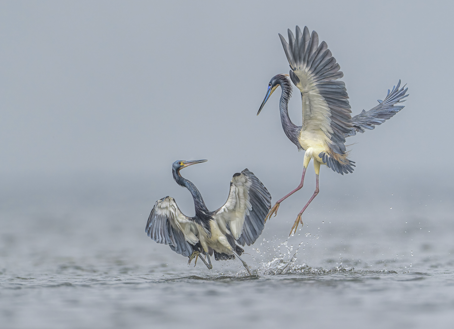 Screenshot 2026-03-31 at 7.06.59 AM.png