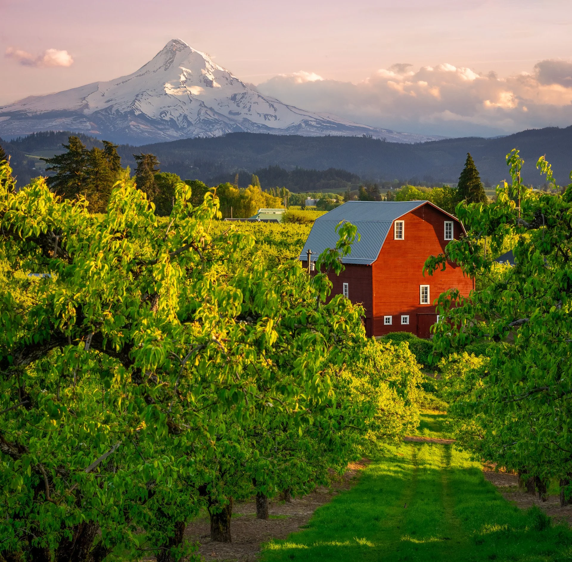 20250429-oregon orchard barn-DSC06787-HDR-Pano-Edit.jpg