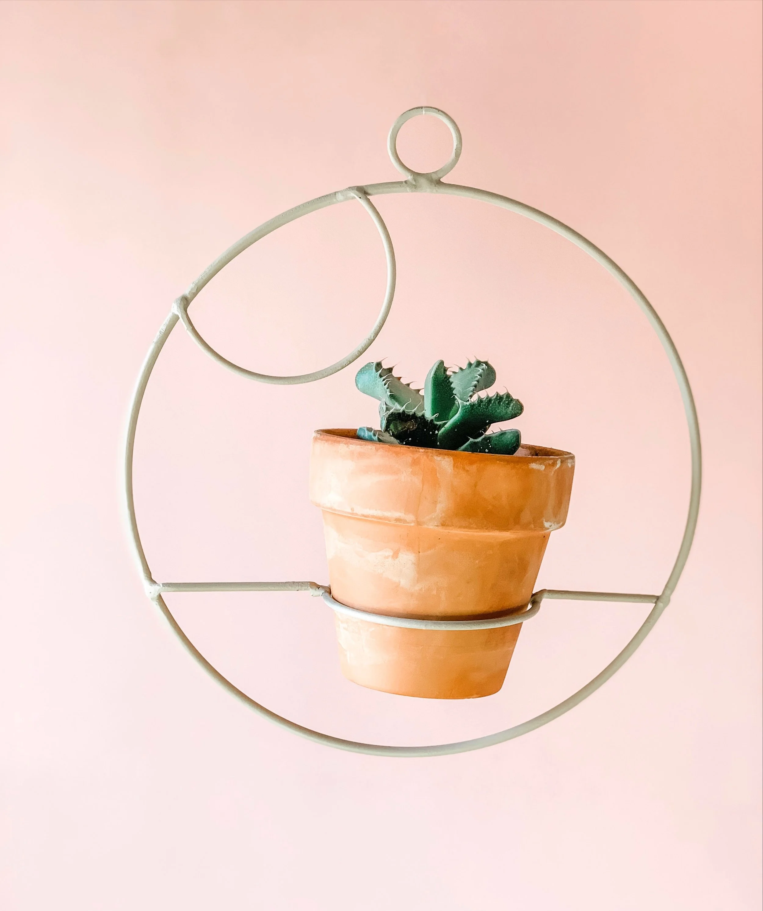Mini Bubbles, Hanging Planter