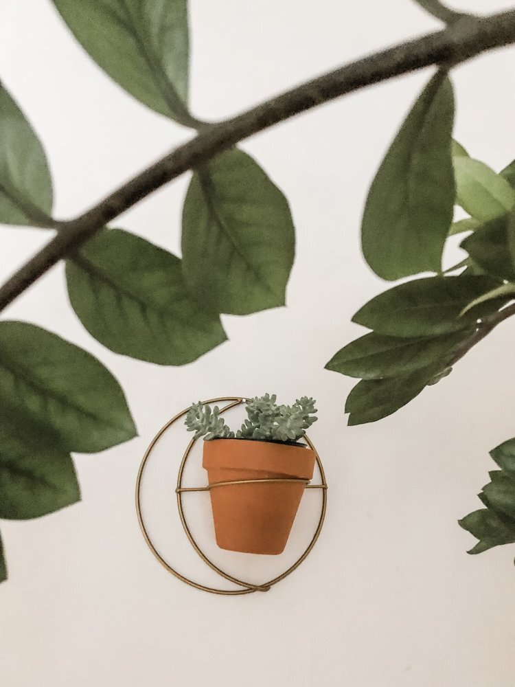 Crescent Moon Planter