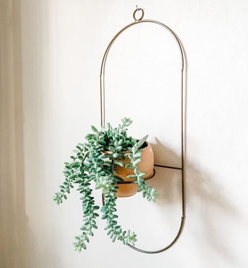 Rainbow Looks in Mirror