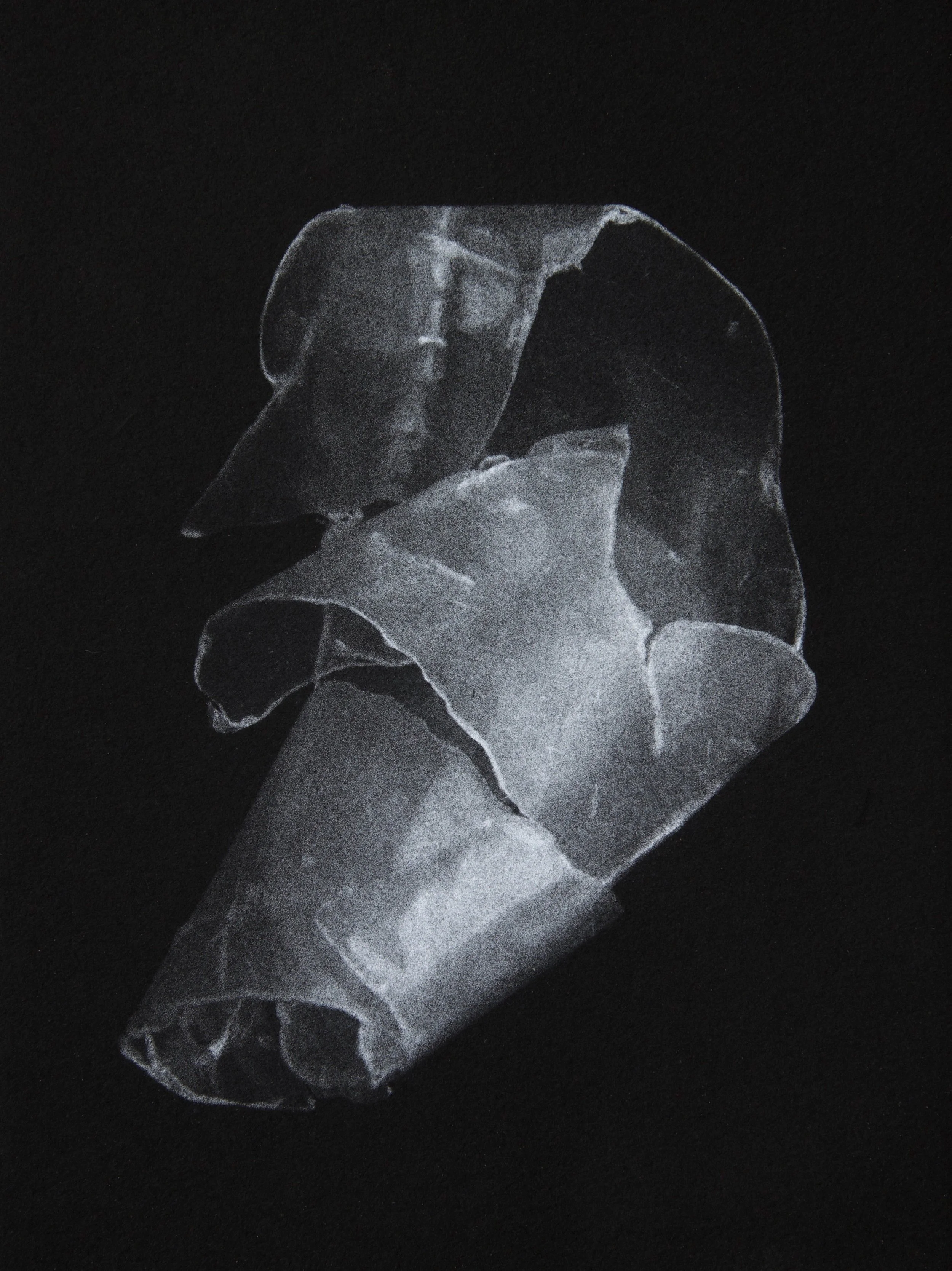 Pelagic Plastic 6