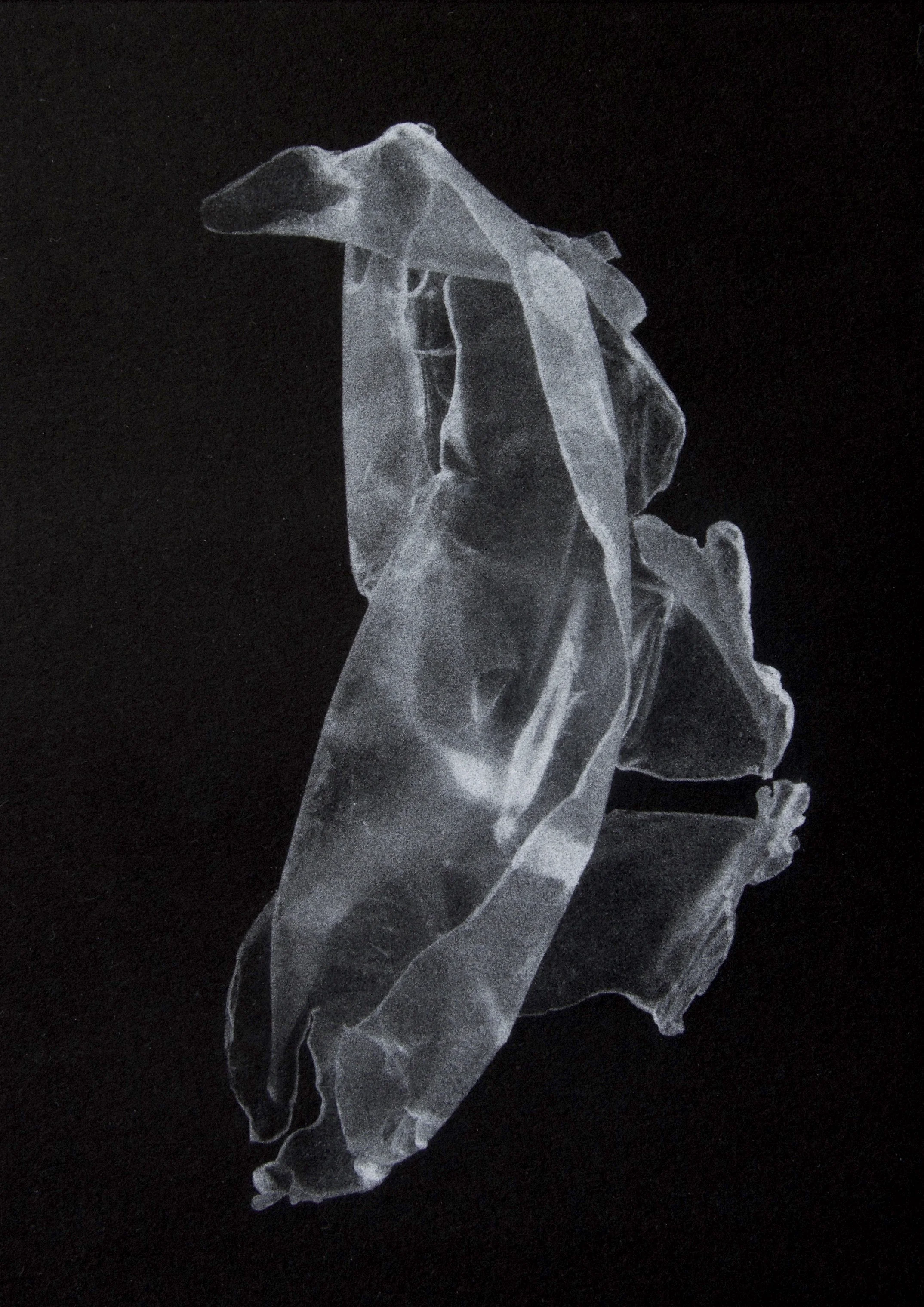 Pelagic Plastic 10